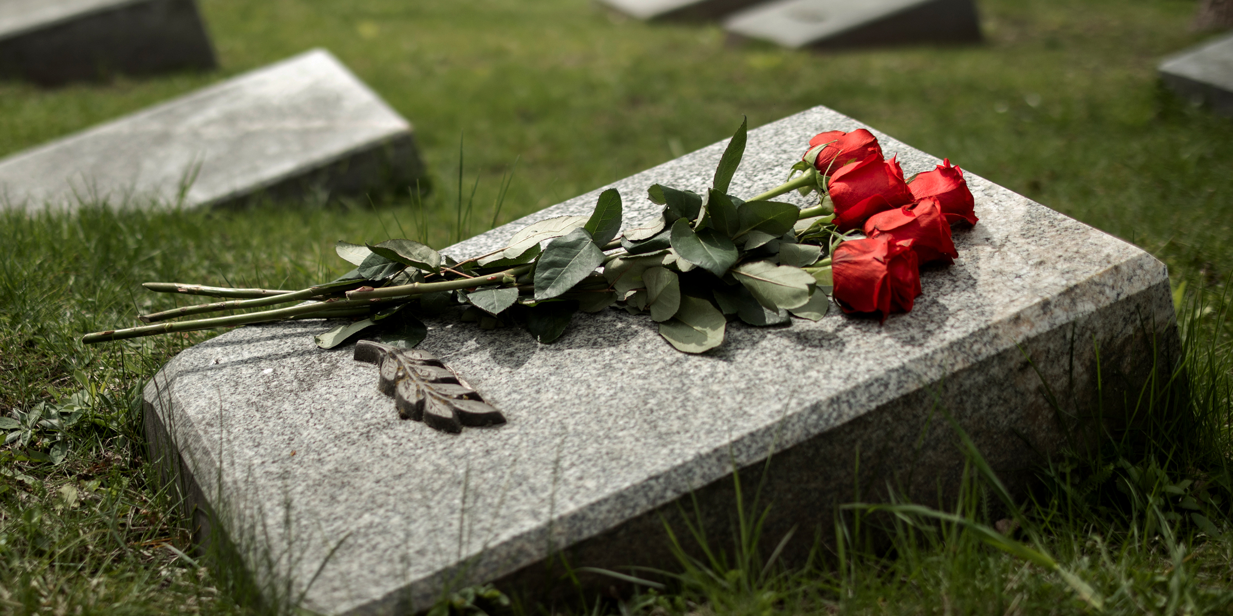 Rote Rosen auf einem Grab | Quelle: Freepik