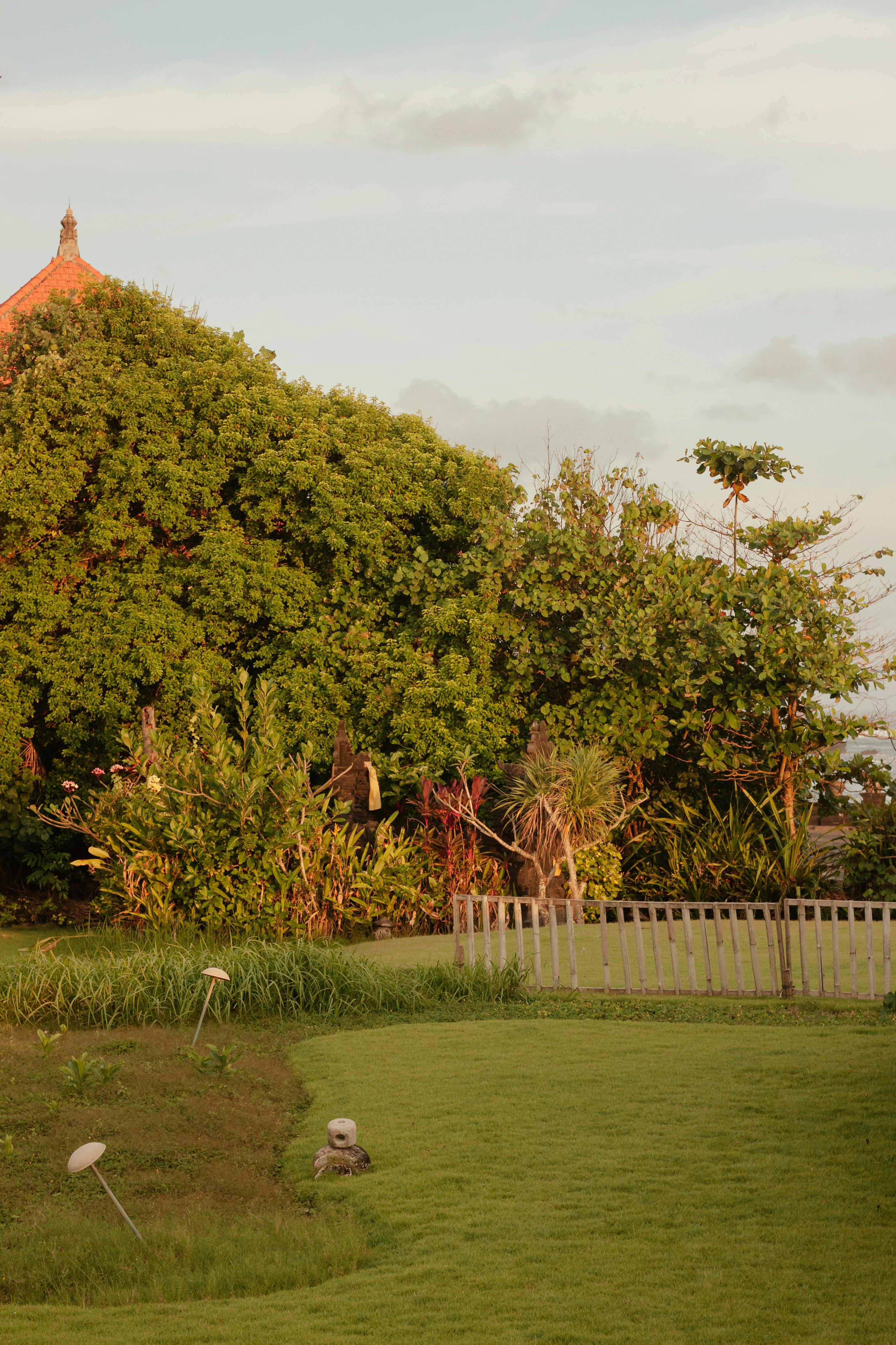 Großer Bauerngarten mit Rasen und Ziergras | Quelle: Pexels