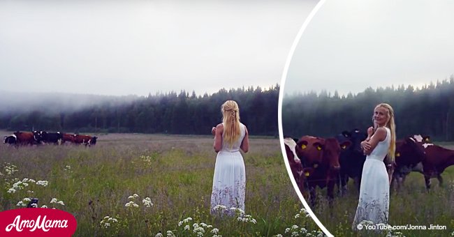 Eine Frau fängt an, ein altes Lied zu singen, und die Reaktion der Kühe wird sofort viral