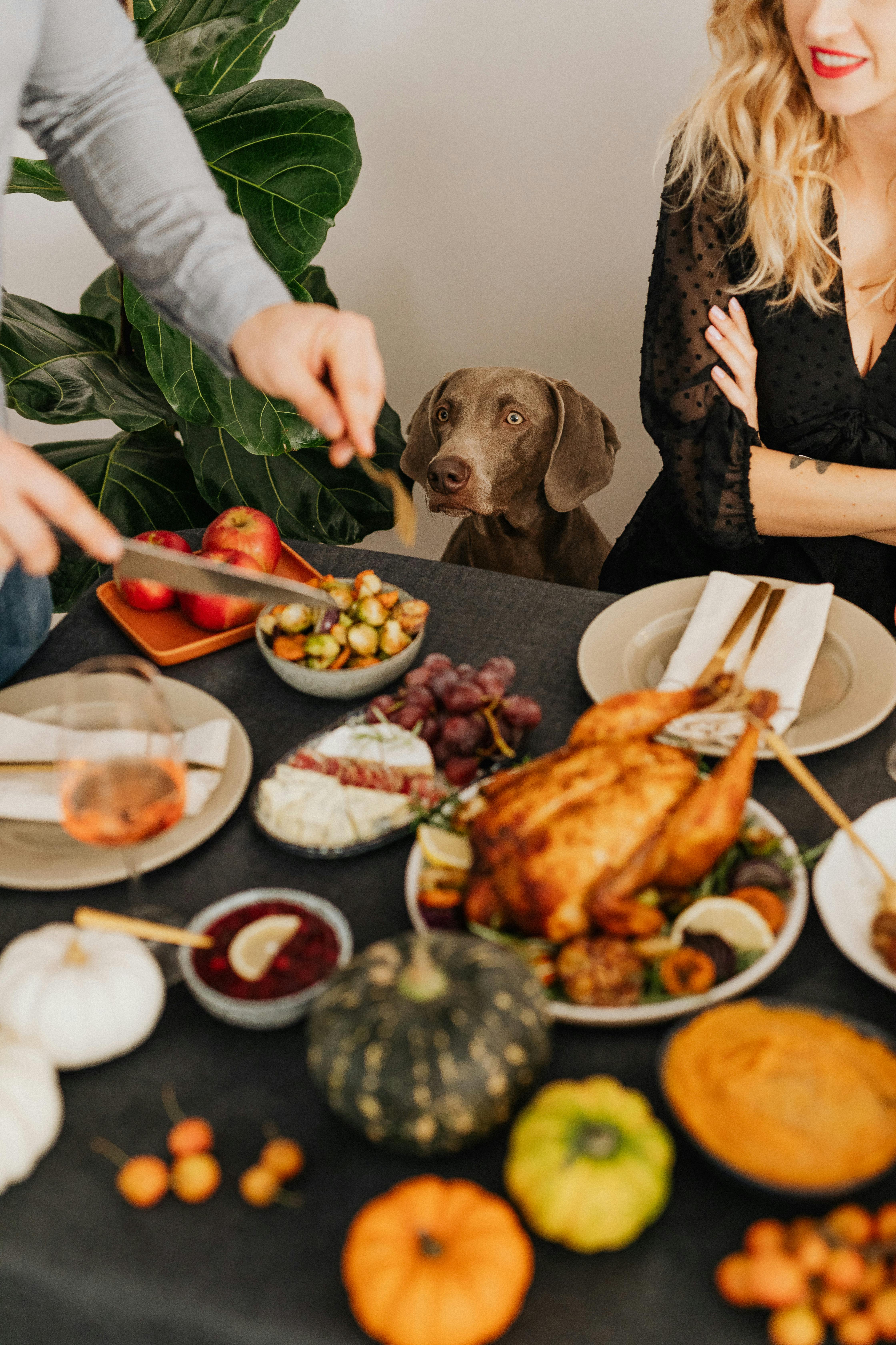 Ein Mann nimmt mehr Essen zu sich, während eine Frau und ein Hund ihm zusehen | Quelle: Pexels