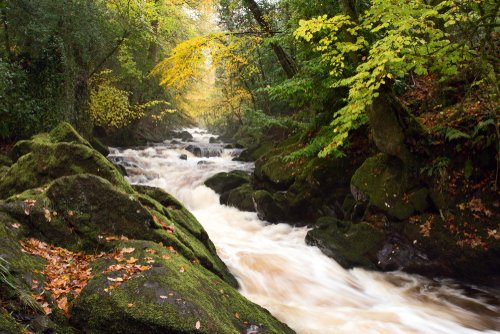 Fluss Erme in Devon, Großbritannien | Quelle: Shutterstock