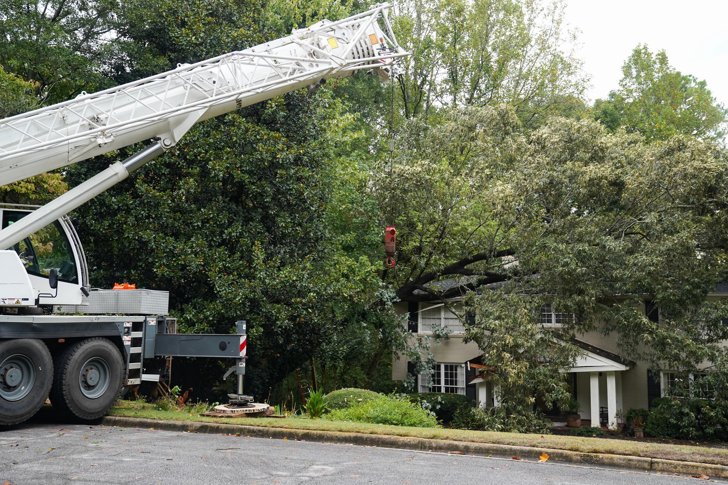 Ein Baumpfleger arbeitet daran, einen Baum an einem Haus in Buckhead zu entfernen, nachdem Hurrikan Helene in der Nacht auf den 27. September 2024 in Atlanta, Georgia, heftige Regenfälle gebracht hat | Quelle: Getty Images