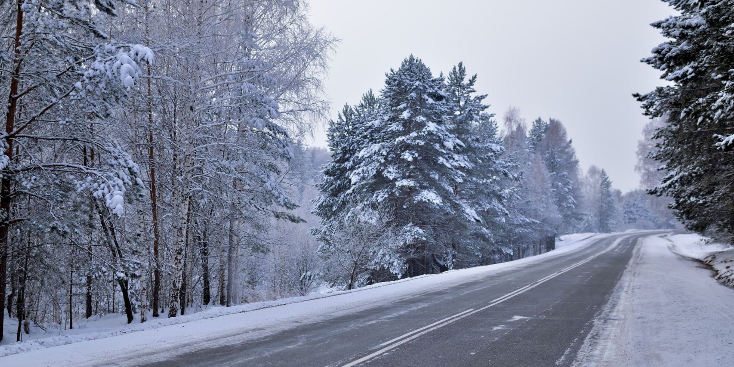 Eine leere Straße im Wald, umgeben von schneebedeckten Bäumen | Quelle: Pexels
