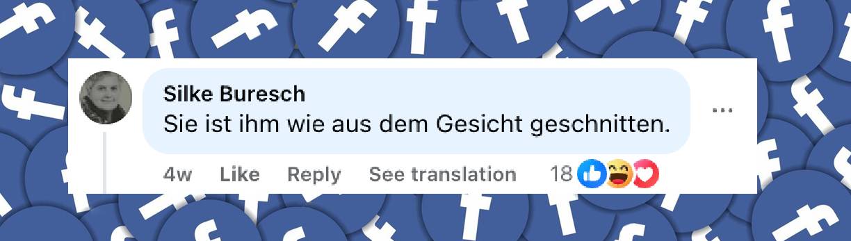 Fan-Kommentare zu Lenis Instagram-Beitrag | Quelle: facebook.com/share/p/17JCDoijkL/
