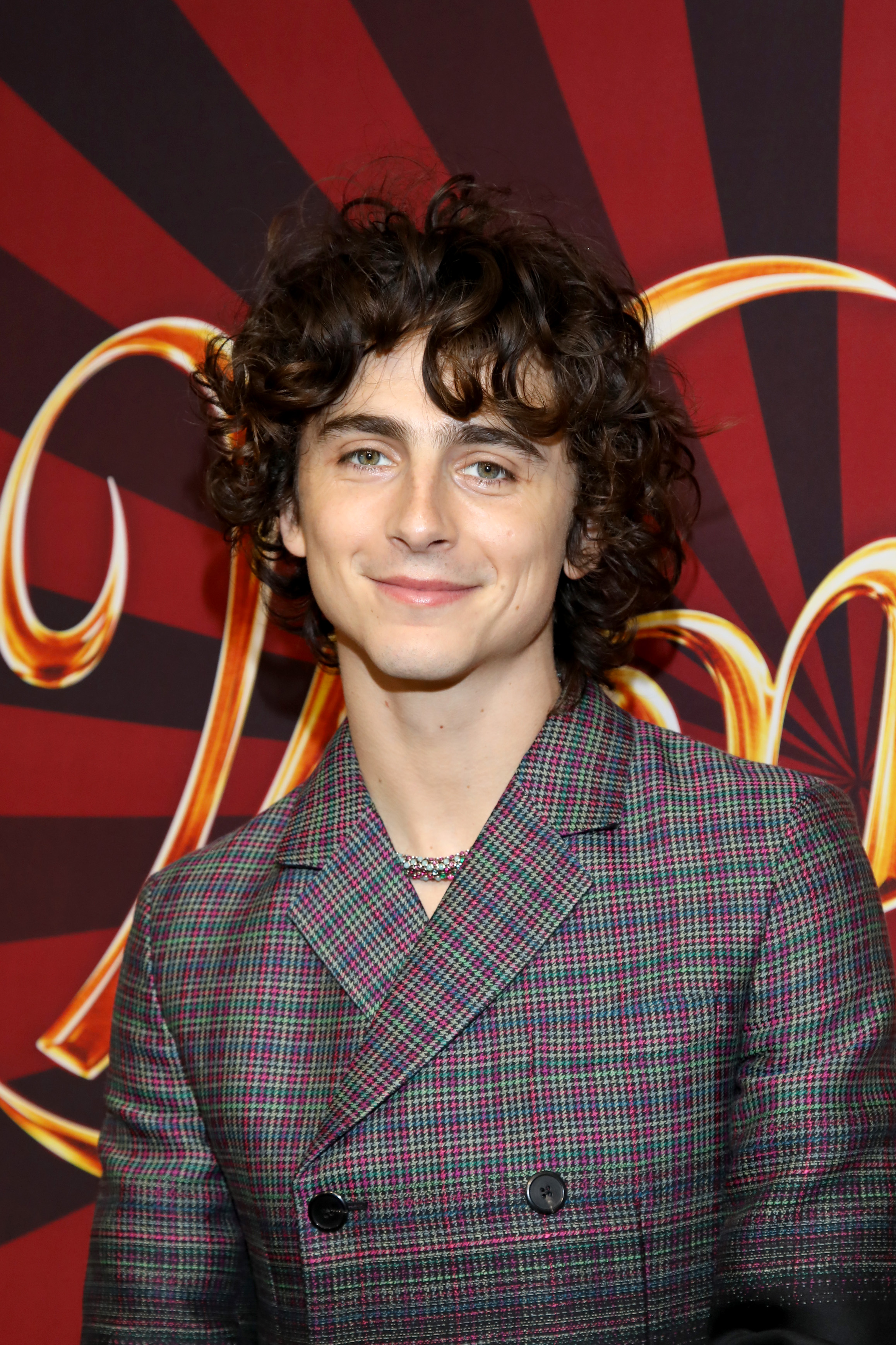 Timothée Chalamet besucht das kanadische Fan-Screening von "Wonka" am 13. Dezember 2023 in Toronto, Ontario. | Quelle: Getty Images