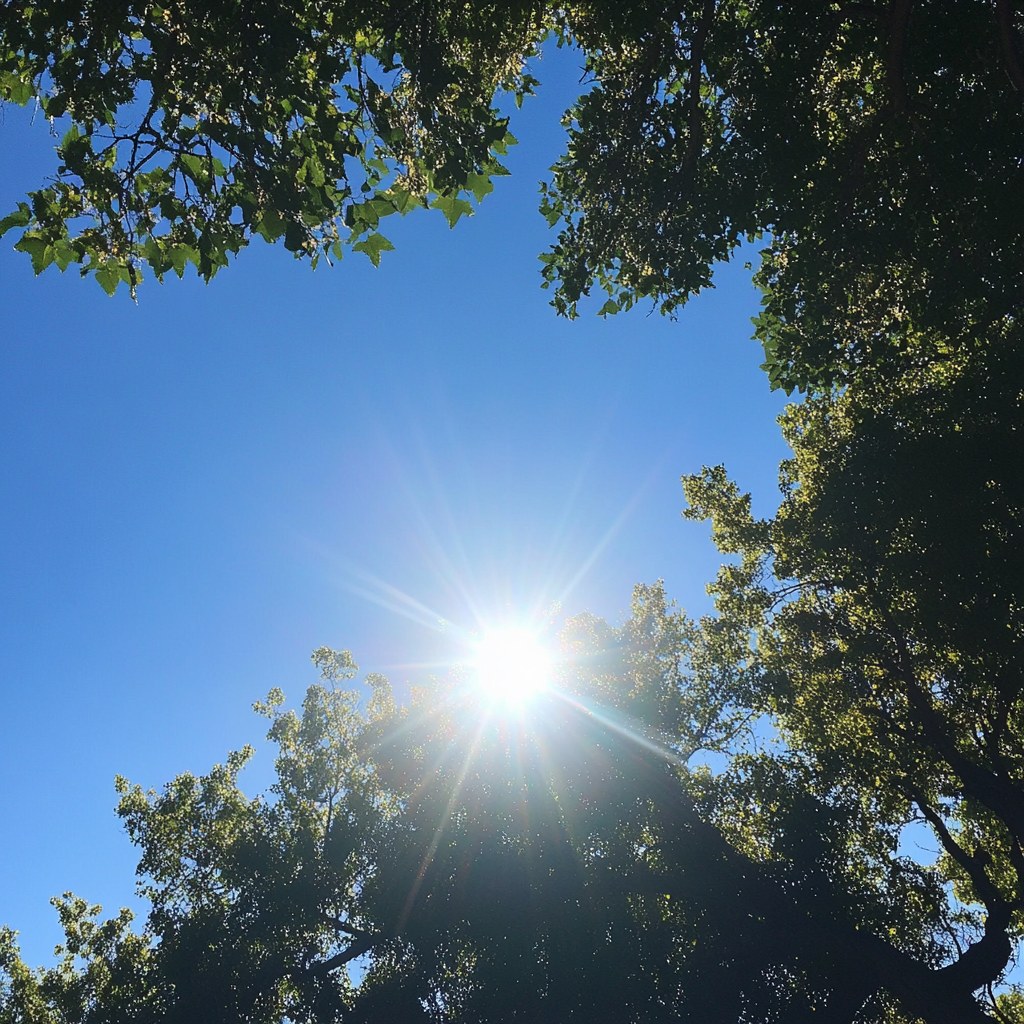 Ein stiller Sommertag | Quelle: Midjourney
