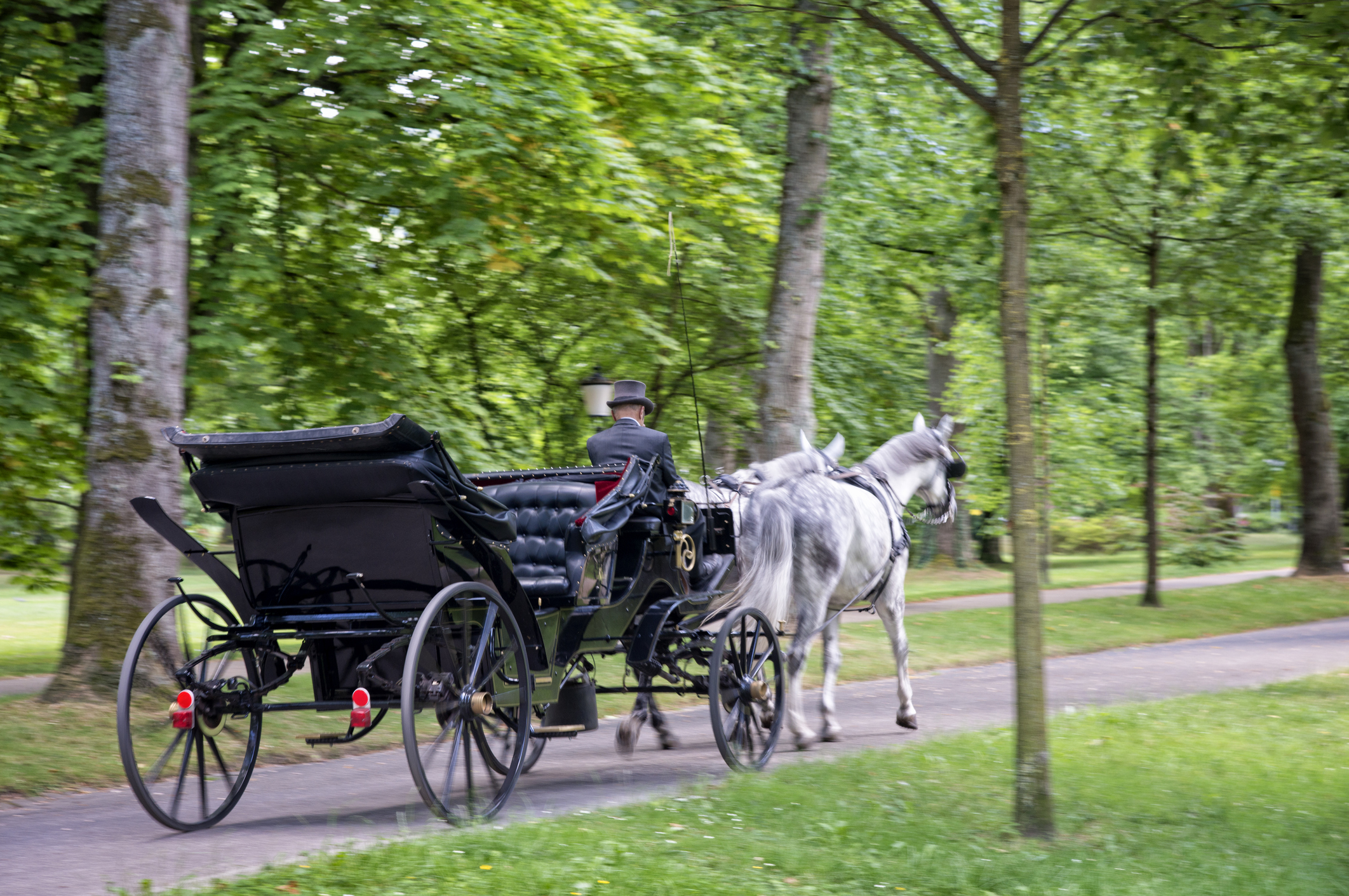 Pferdekutsche in der „Lichtentaler Allee“ | Quelle: Getty Images