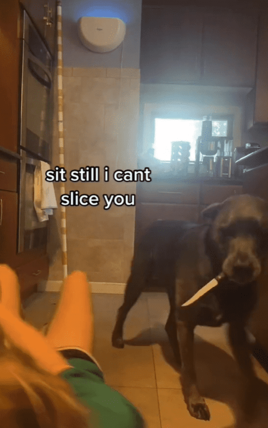 Ein Hund mit Messer sitzt neben dem Frauchen, die auf dem Boden liegt. Dazu der lustige Kommentar  “halt still, damit ich dich abstechen kann.” | Quelle: Tiktok.com/@thedeeckendogs