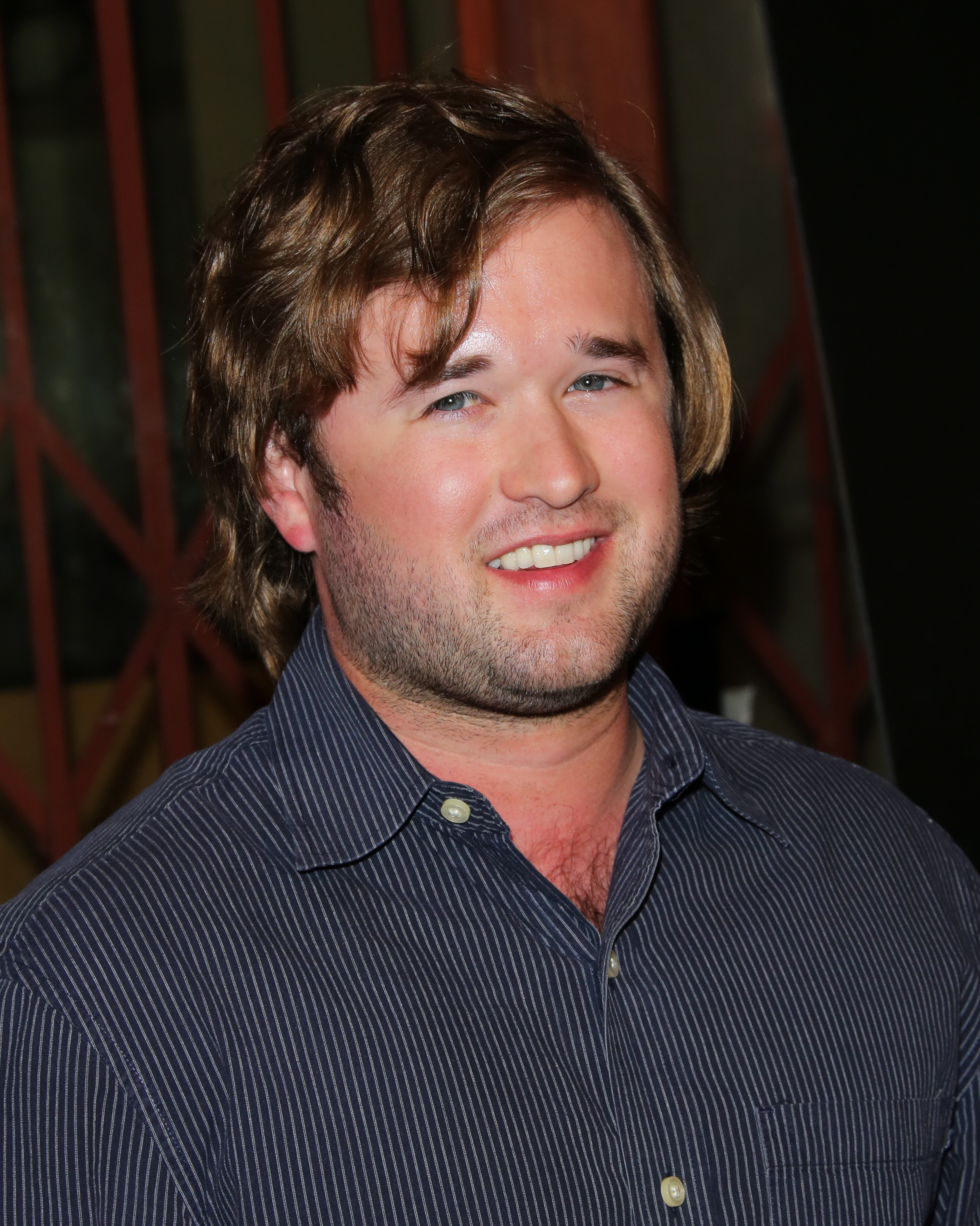 Haley Joel Osment bei der Premiere von "Tusk" in Los Angeles, 2014 | Quelle: Getty Images