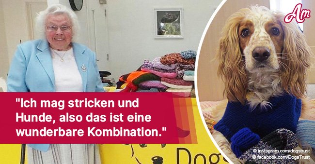 Eine 89-Jährige strickte über 450 Decken und Pullis um den Hunden im Tierheim zu helfen