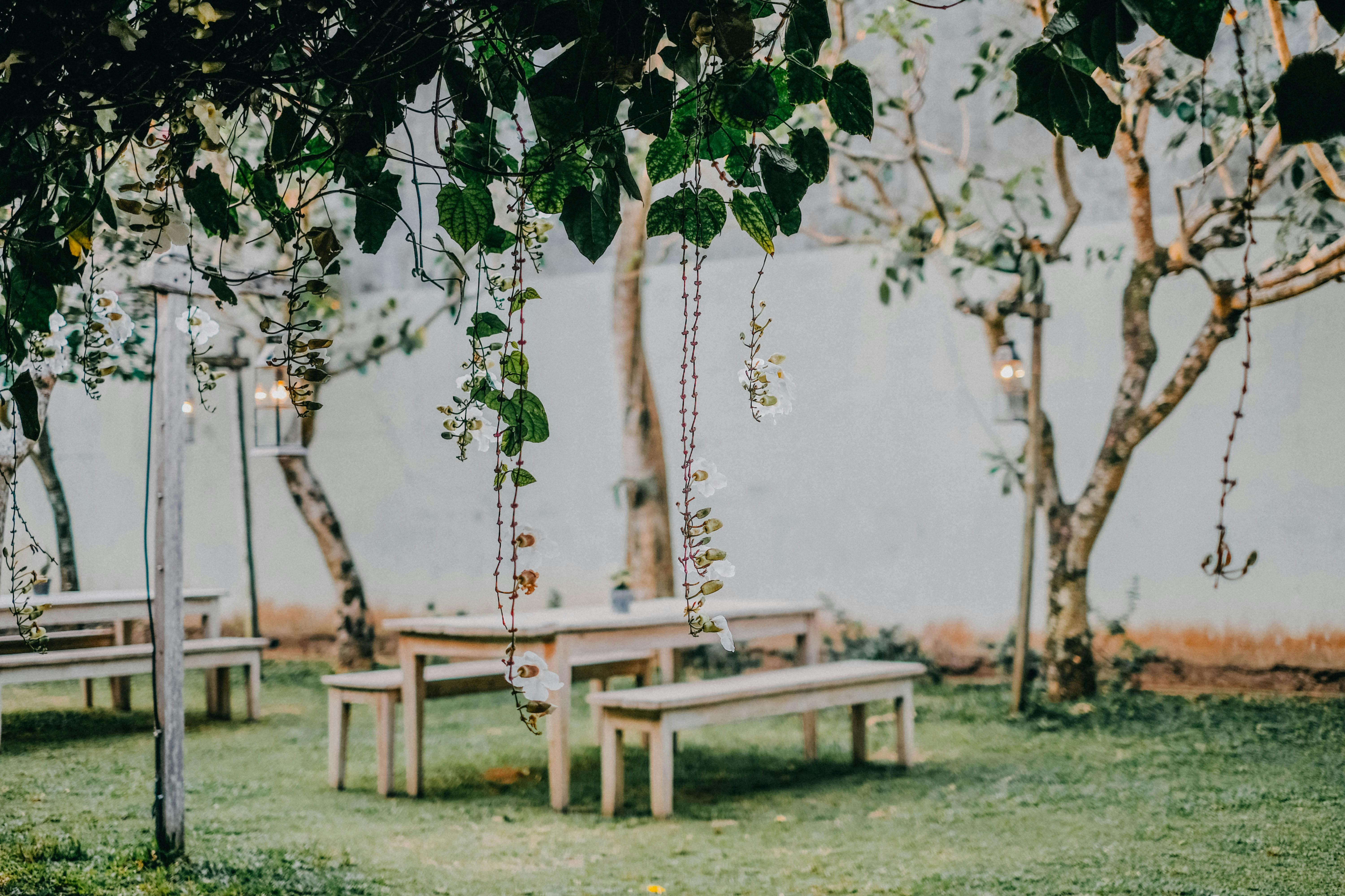 Gartenparty-Setup | Quelle: Pexels