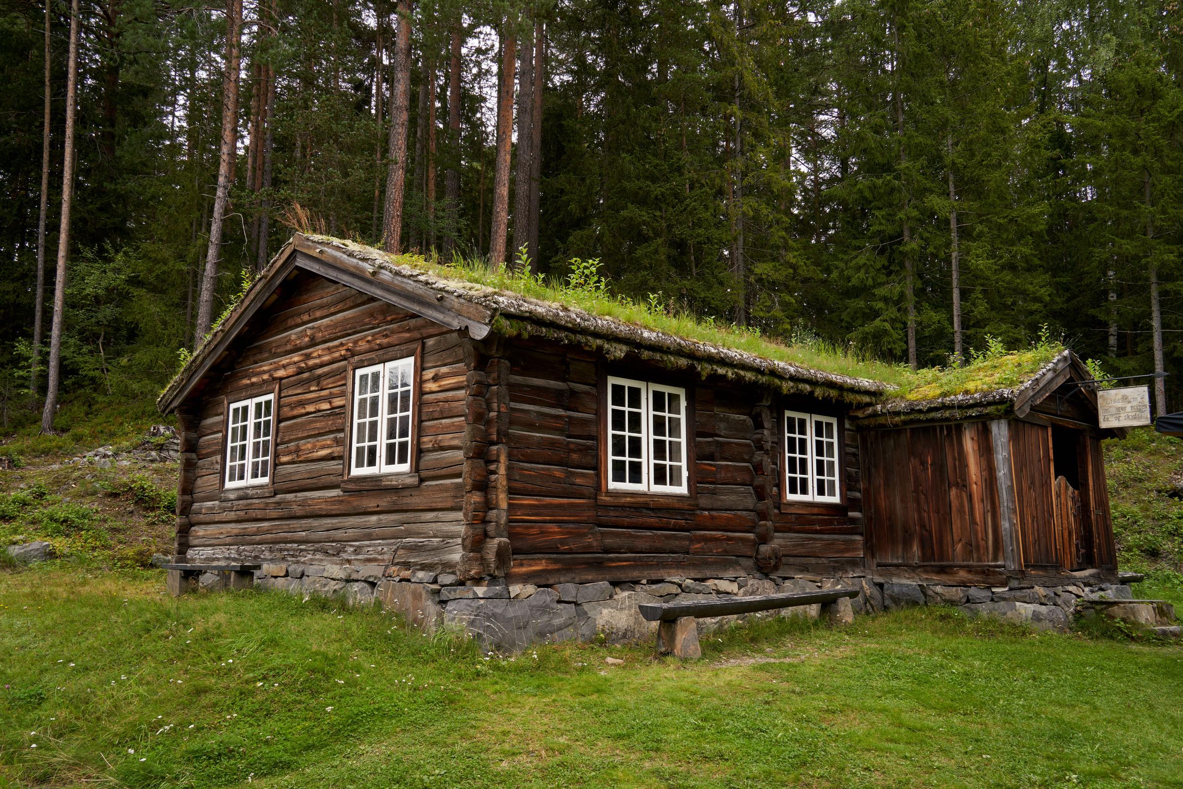 Eine Hütte im Wald | Quelle: Pexels