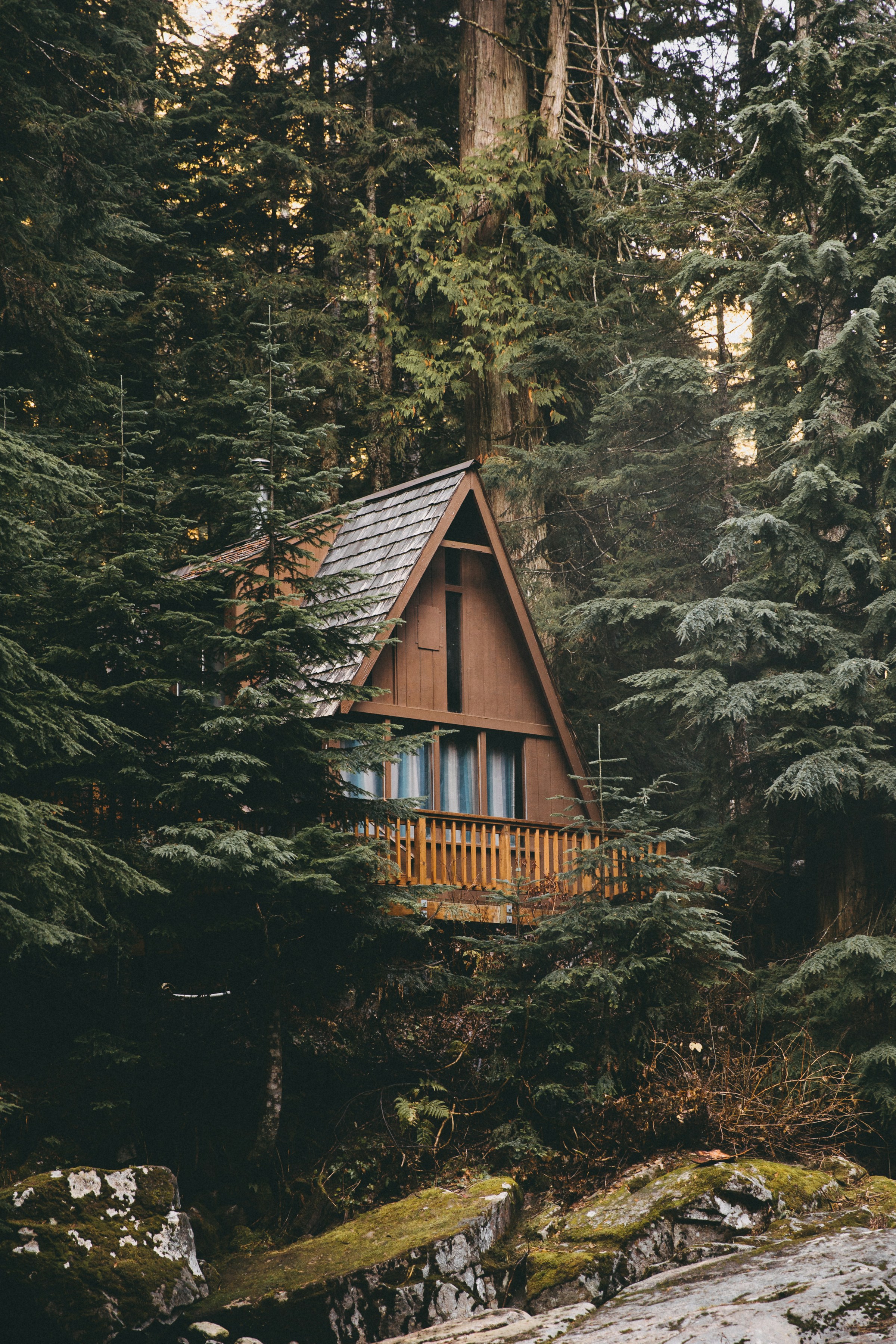 Eine Hütte im Wald | Quelle: Unsplash