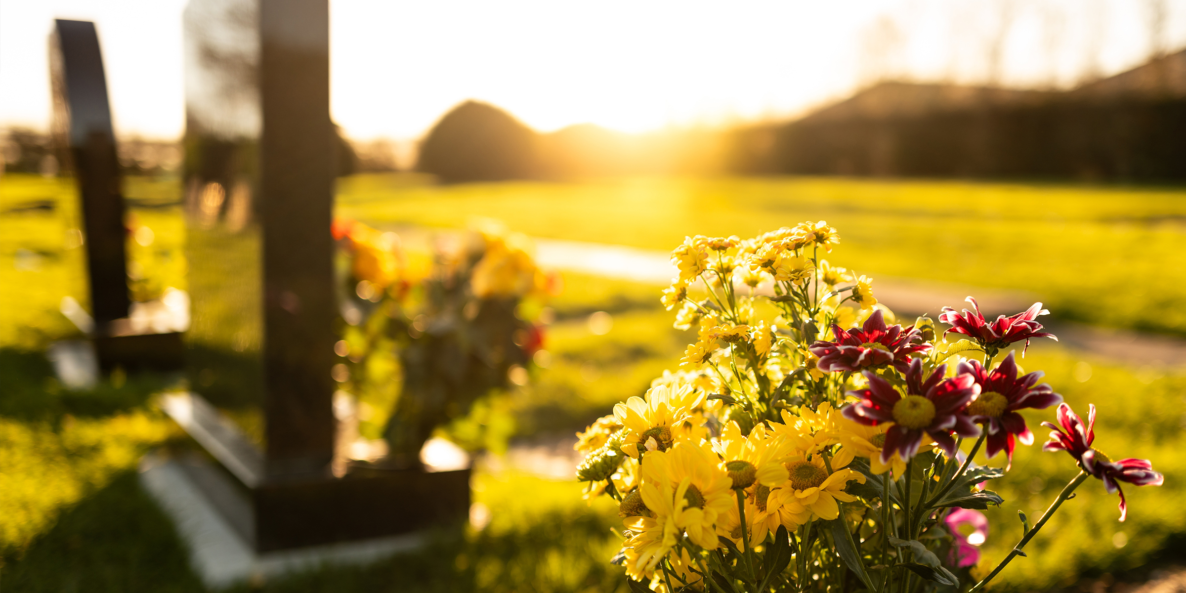 Ein Sonnenuntergang auf einem Friedhof | Quelle: Shutterstock