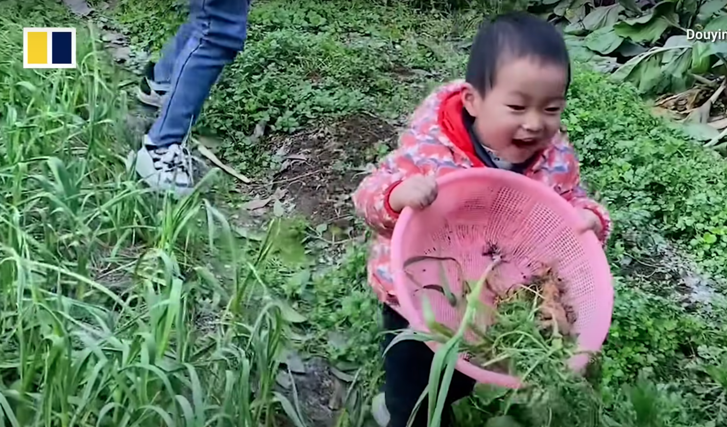 Pomelo hilft seiner Mama beim Aussuchen von Gemüse. | Quelle: Youtube.com/South China Morning Post