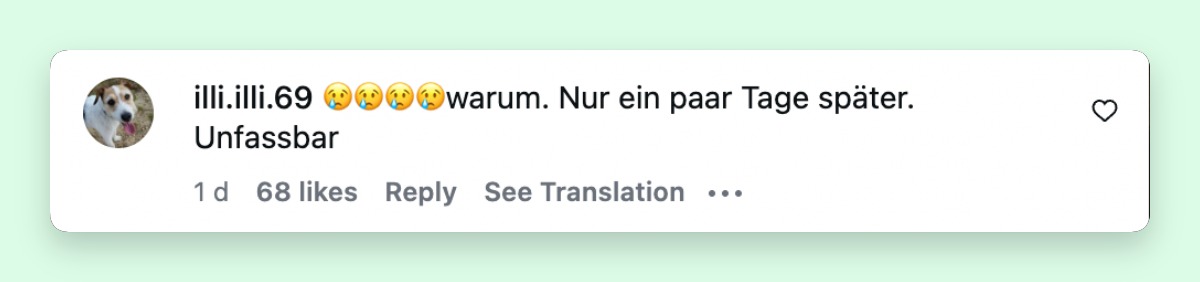 Fans kommentieren die Neuigkeiten | Quelle: instagram.com/p/DcqhrUlusGA/