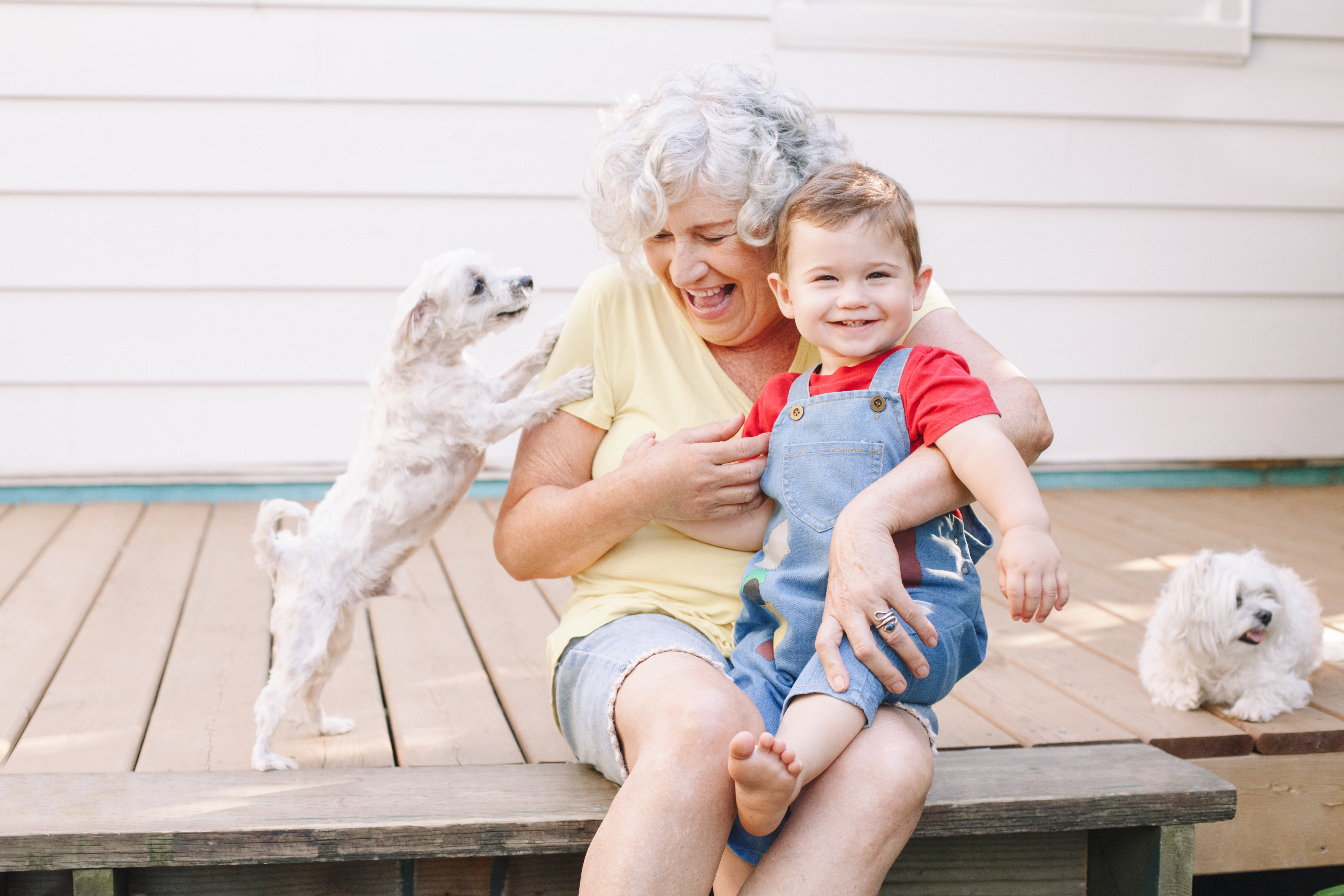 Eine Großmutter mit einem Hund und ihrem Enkelkind | Quelle: Shutterstock