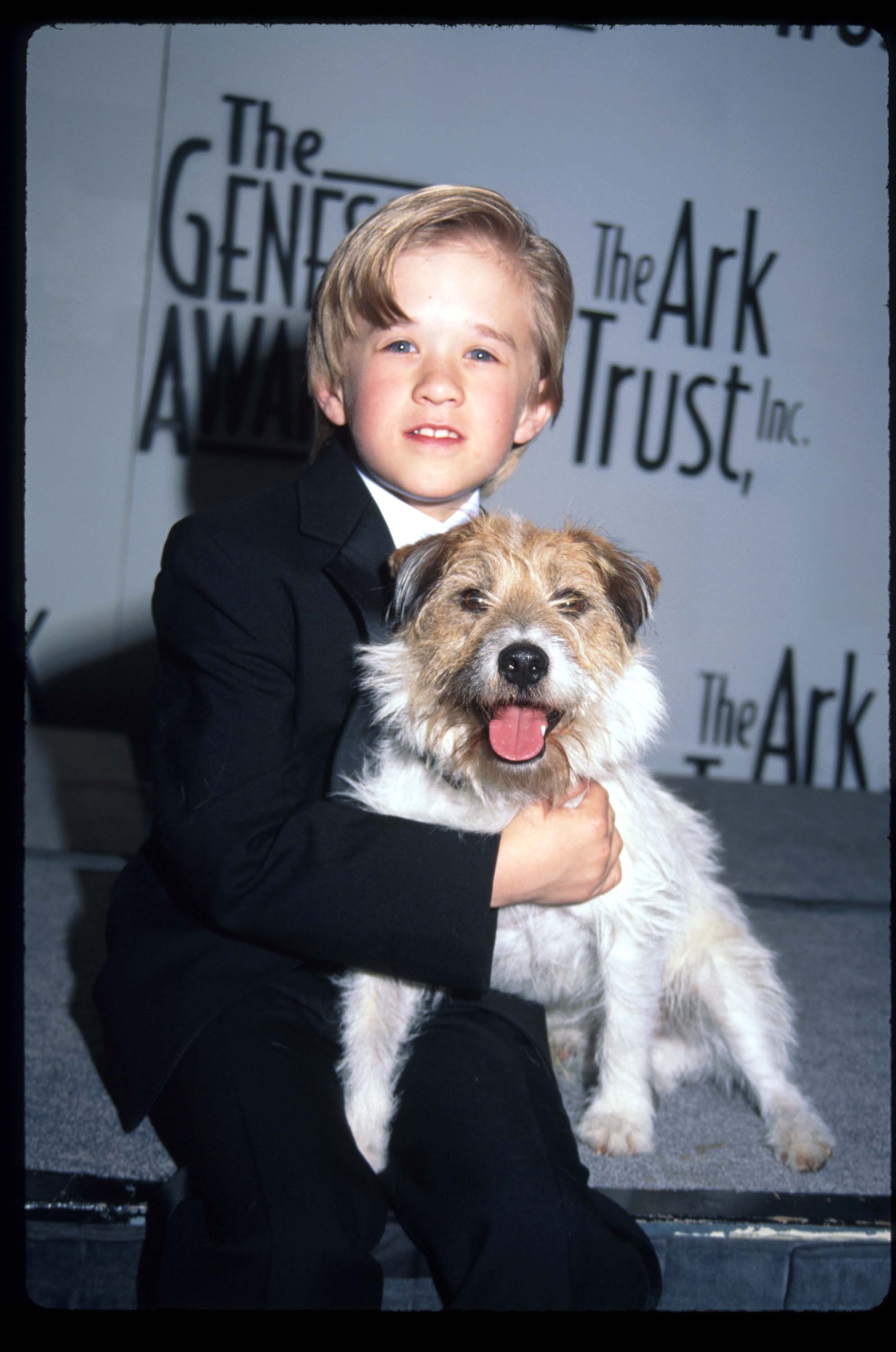 Haley Osment hält Sparky, den Hund, bei den Genesis Awards am 5. April 1997 in Los Angeles, Kalifornien. | Quelle: Getty Images