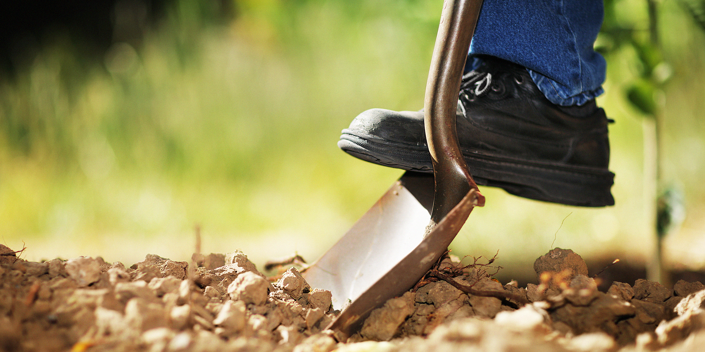 Person, die mit einer Schaufel Erde umgräbt | Quelle: Shutterstock