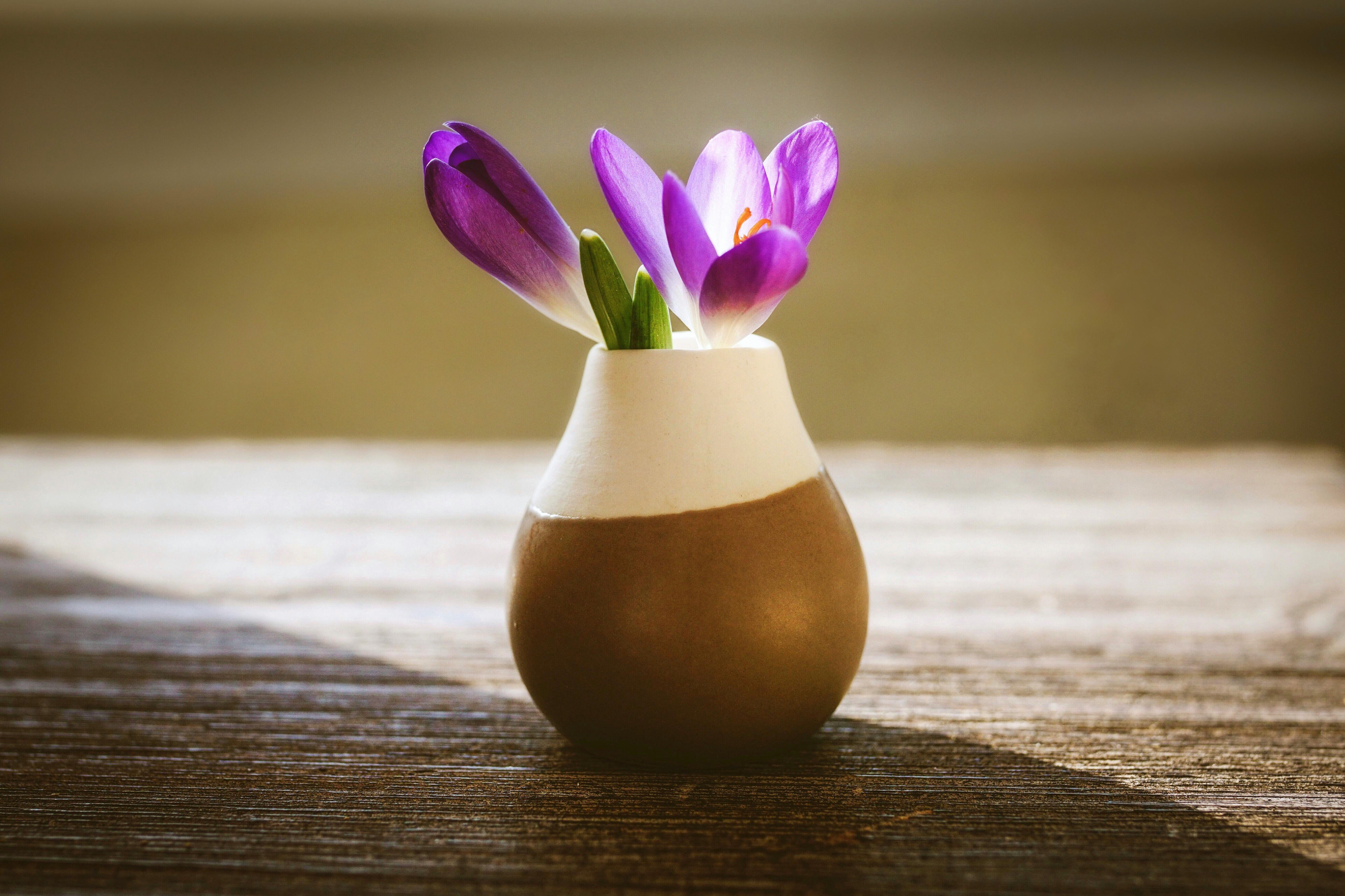 Eine Blumenvase | Quelle: Pexels