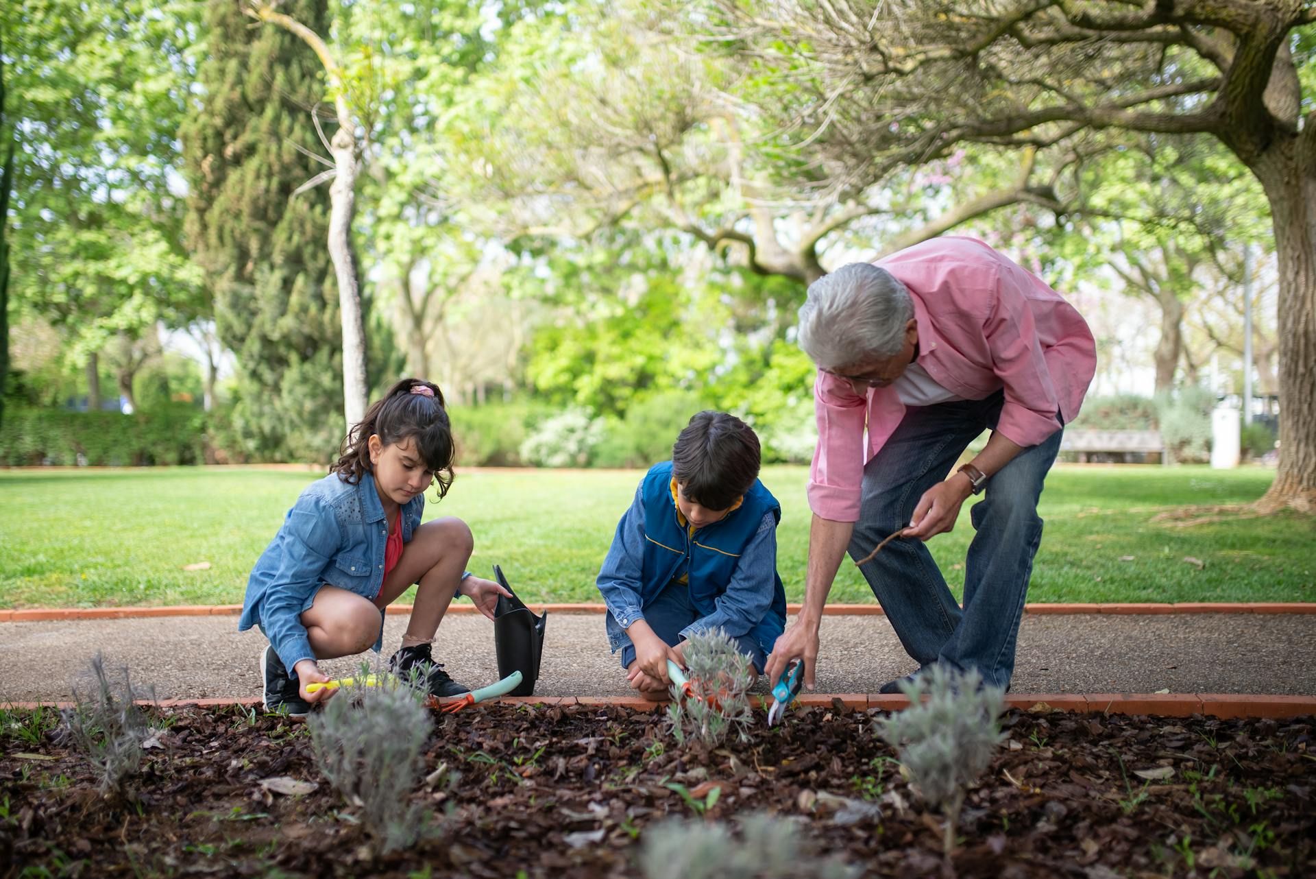 Mann und zwei Kinder pflanzen Bäume in einem Garten | Quelle: Pexels