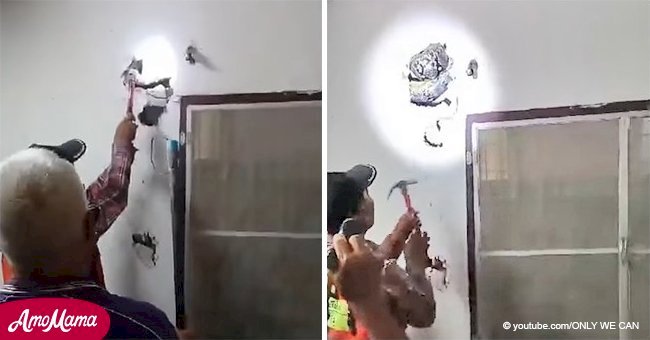 Dieses Video zeigt, wie eine fast fünf Meter lange Schlange in einer Wand in einem Familienhaus stecken blieb