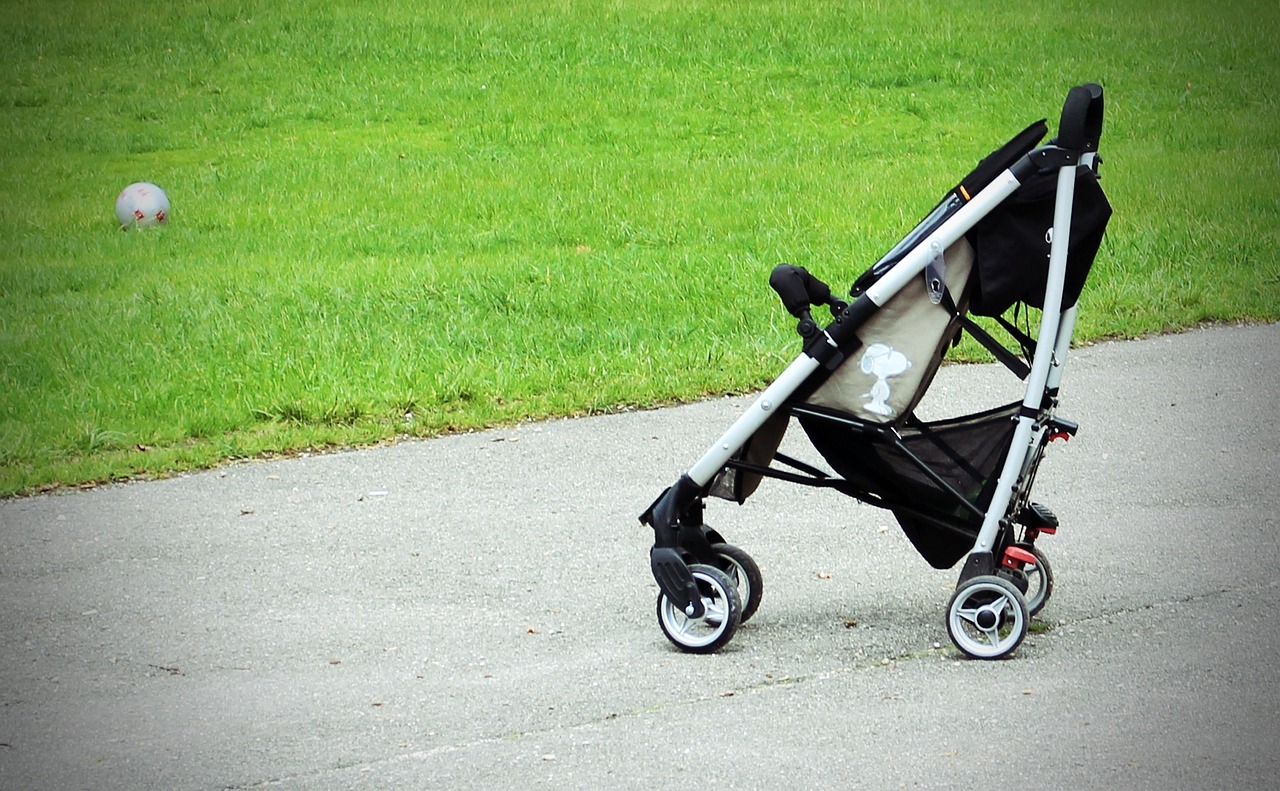 Ein Kinderwagen am Straßenrand neben saftig grünem Gras | Quelle: Pixabay