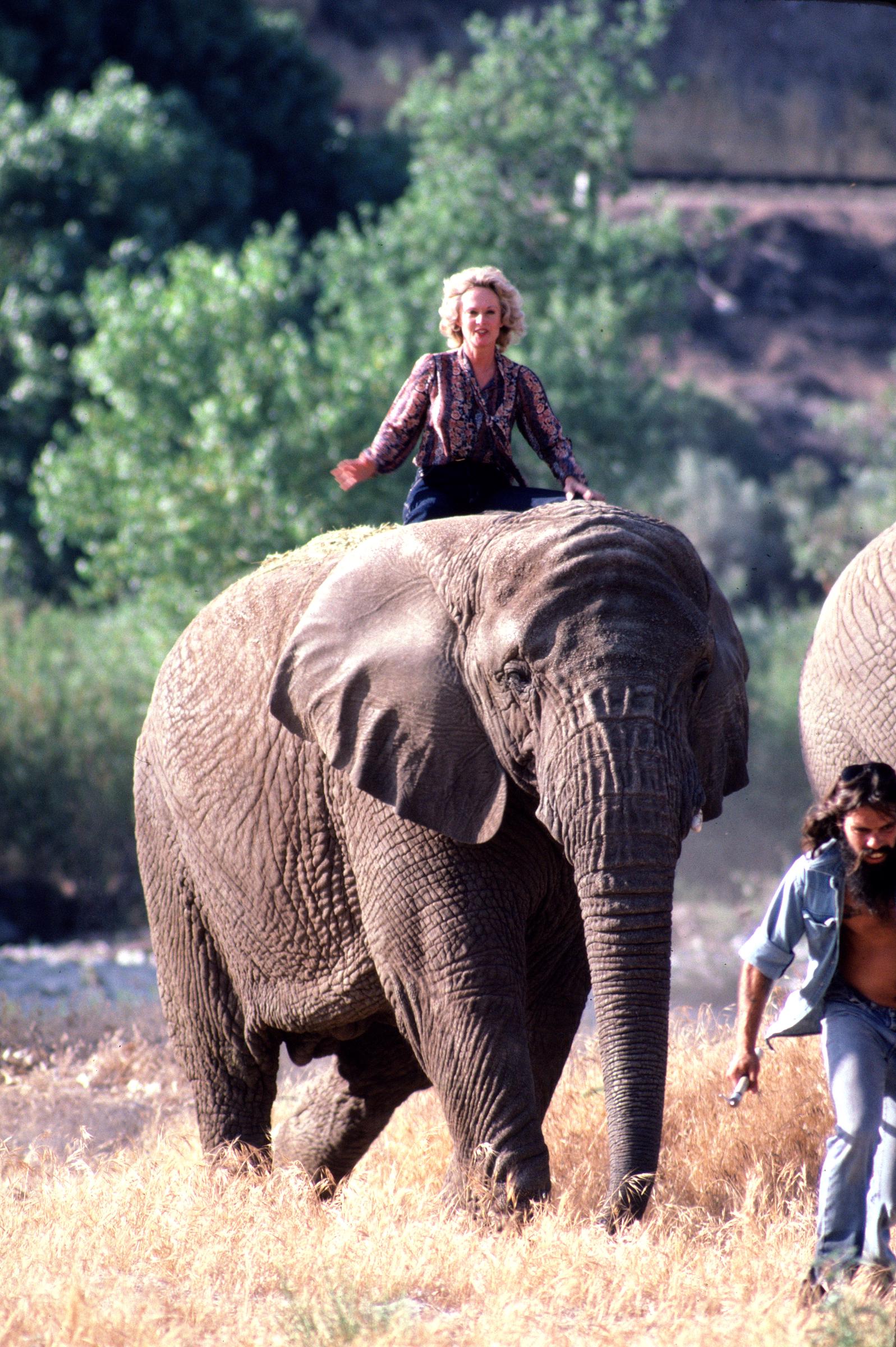 Melanie Griffiths sitzt rittlings auf einem Elefanten in ihrem Saugus Animal Reserve in Saugus, Kalifornien, am 17. November 1983. | Quelle: Getty Images