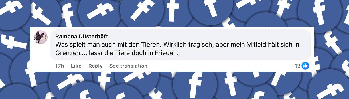 Ein Nutzerkommentar | Quelle: facebook.com/bild