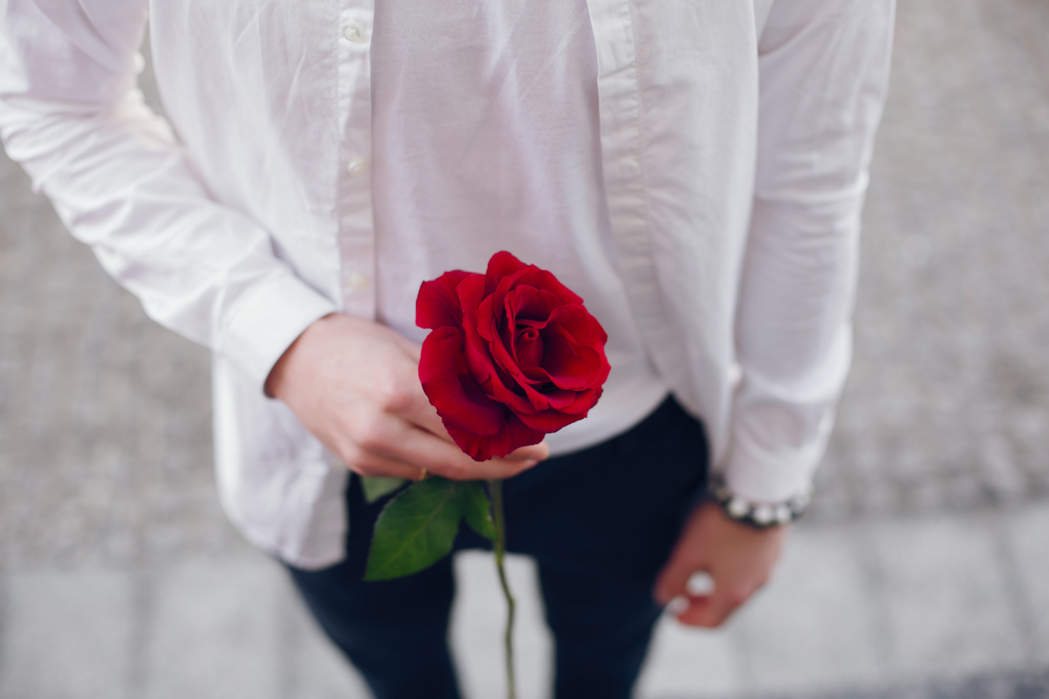 Ein junger Mann hält einen roten Rosenstiel | Quelle: Freepik