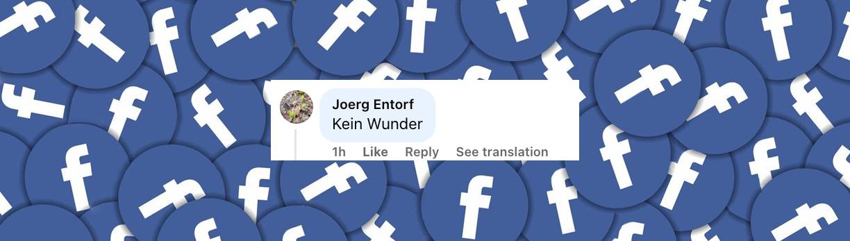 Nutzer-Kommentar | Quelle: Facebook/DSDS - Deutschland sucht den Superstar
