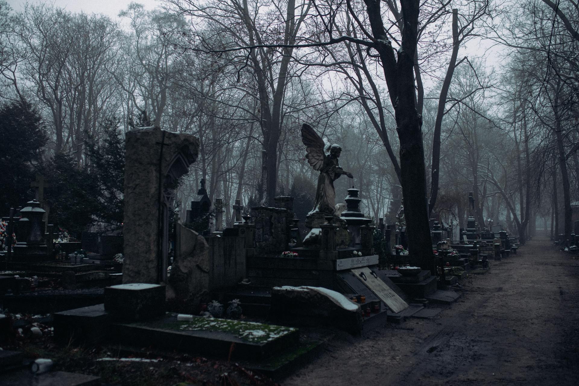 Ein nebliger Friedhof | Quelle: Pexels