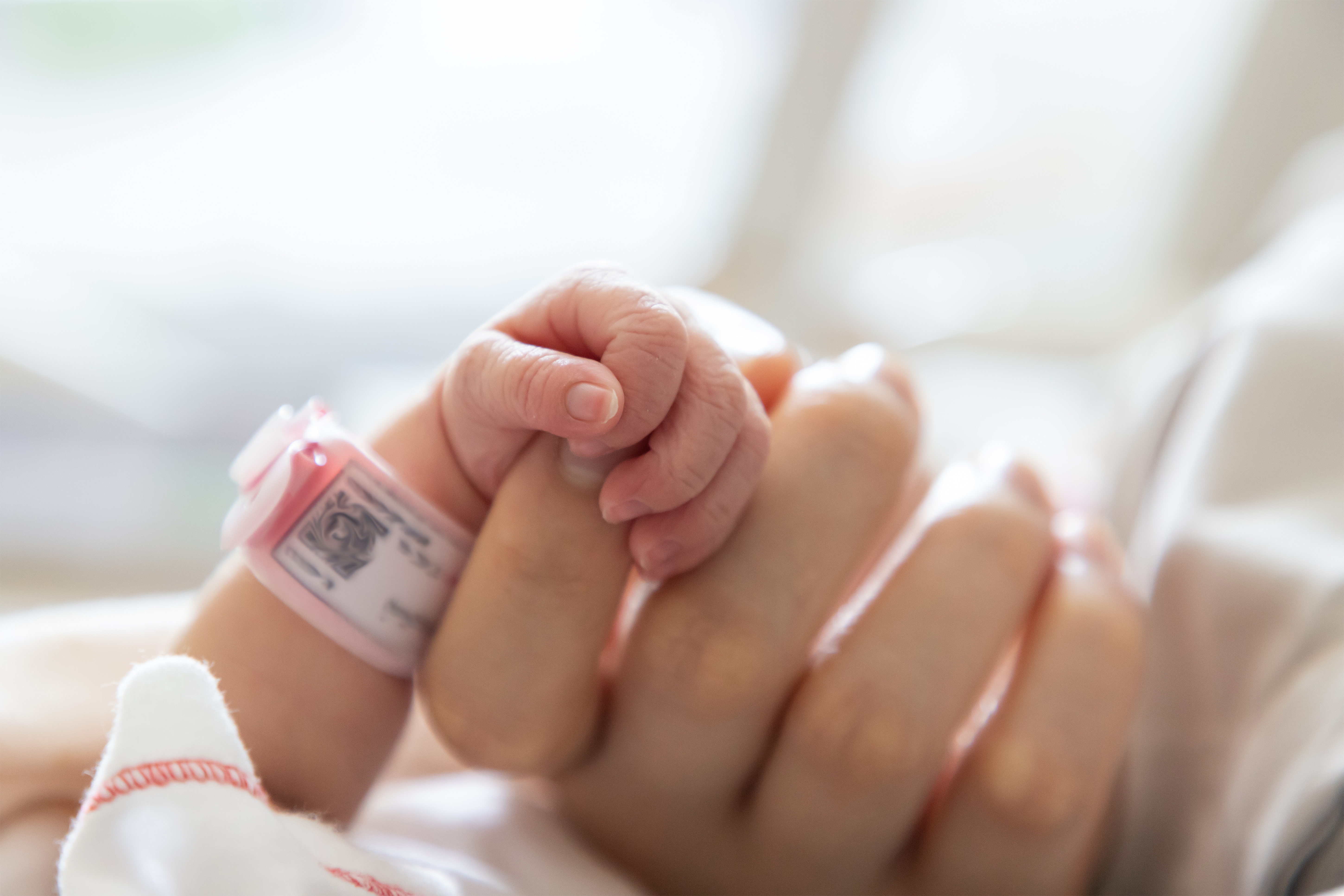 Die Hand eines neugeborenen Babys, das die Finger seiner Mutter hält | Quelle: Shutterstock