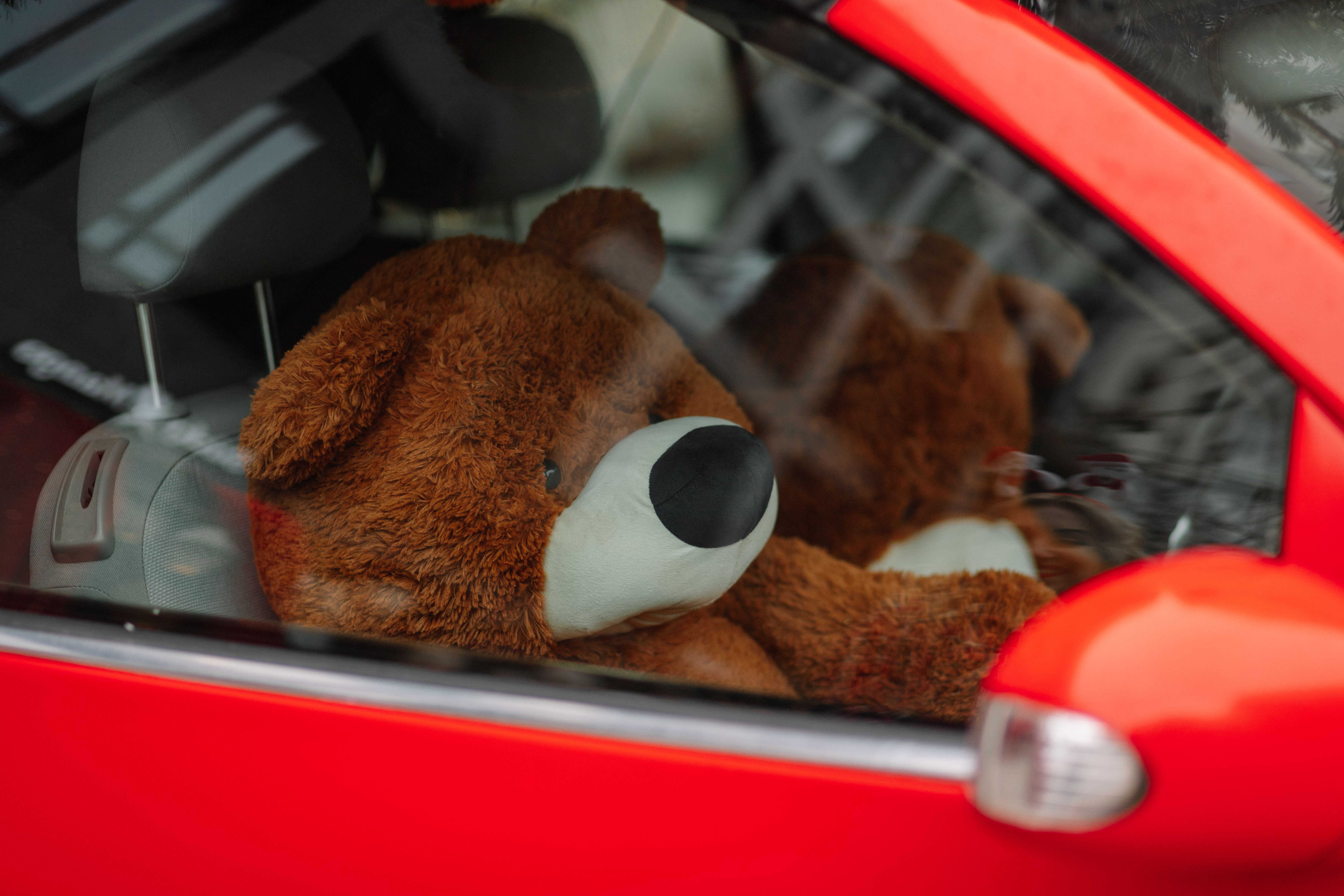 Ein Teddybär in einem Auto | Quelle: Pexels