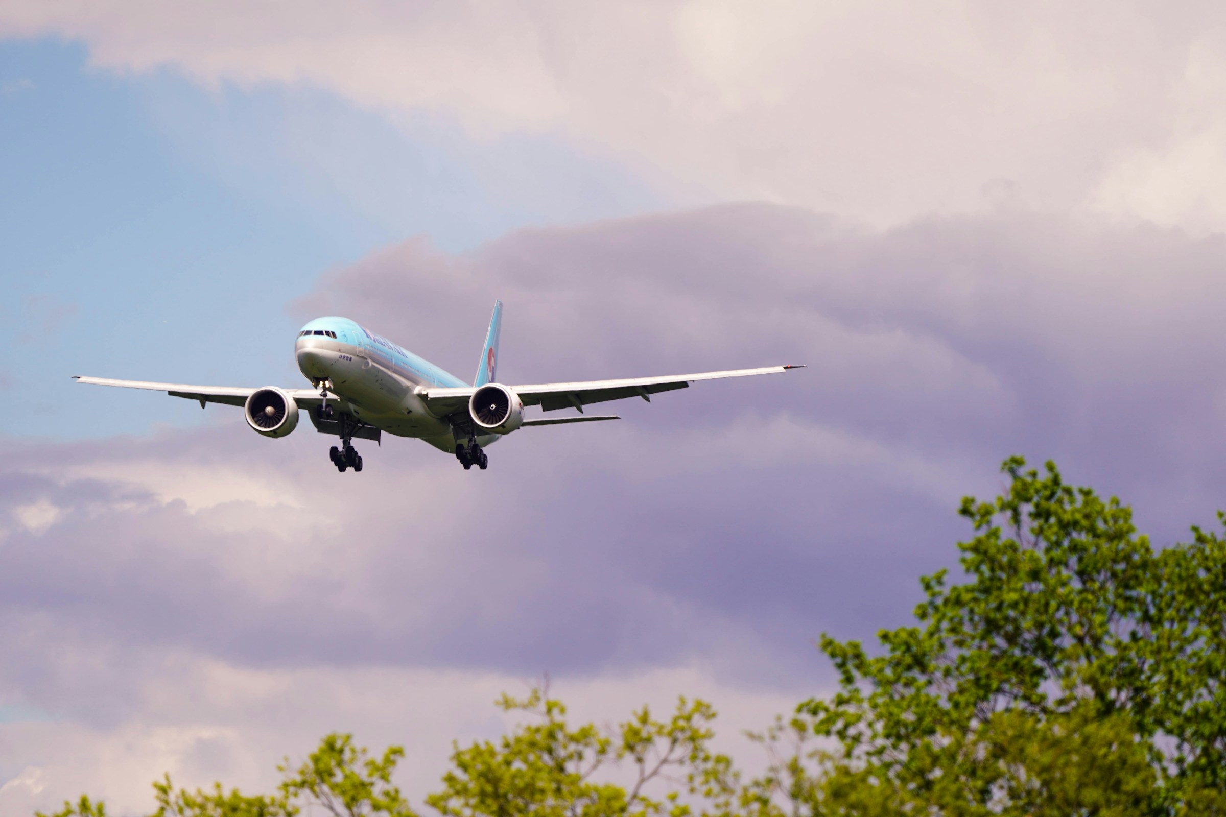 Ein Flugzeug im Flug kurz vor der Landung | Quelle: Unsplash