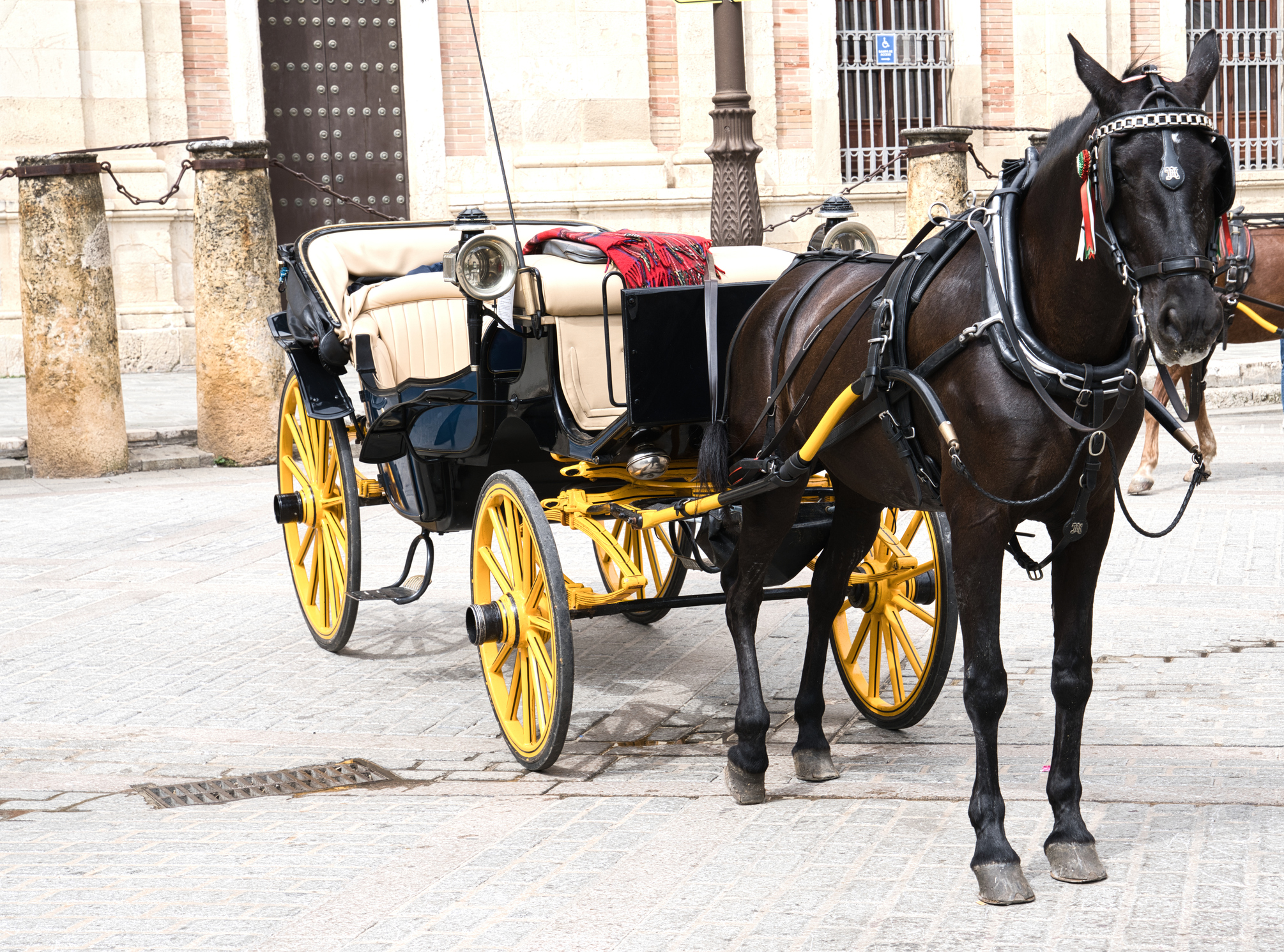 Pferdekutsche in der Innenstadt von Sevilla, Andalusien, Spanien | Quelle: Getty Images