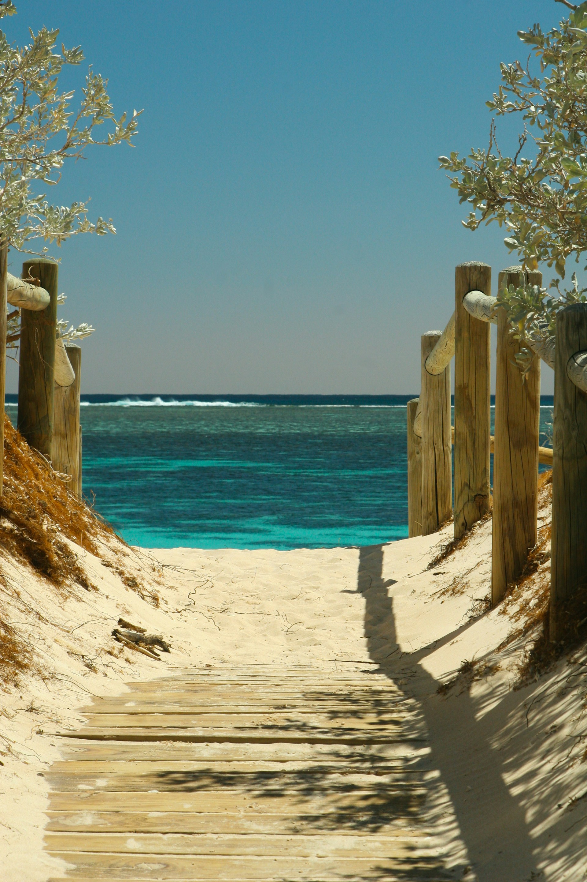 Ein Weg zum Strand | Quelle: Unsplash