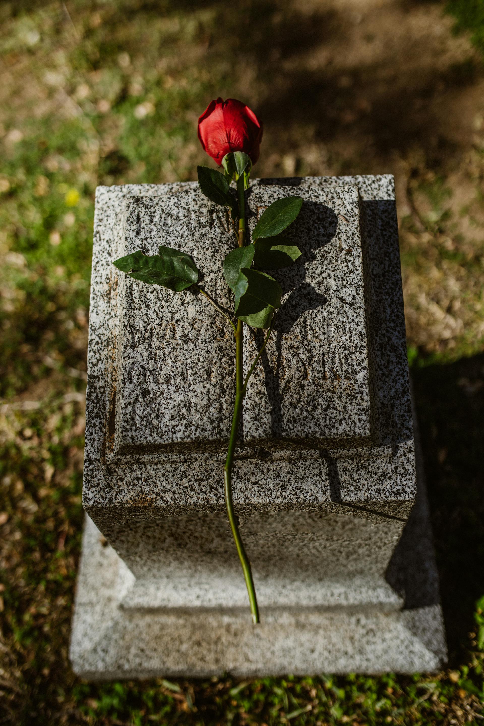 Eine rote Rose liegt auf einem Grabstein | Quelle: Pexels