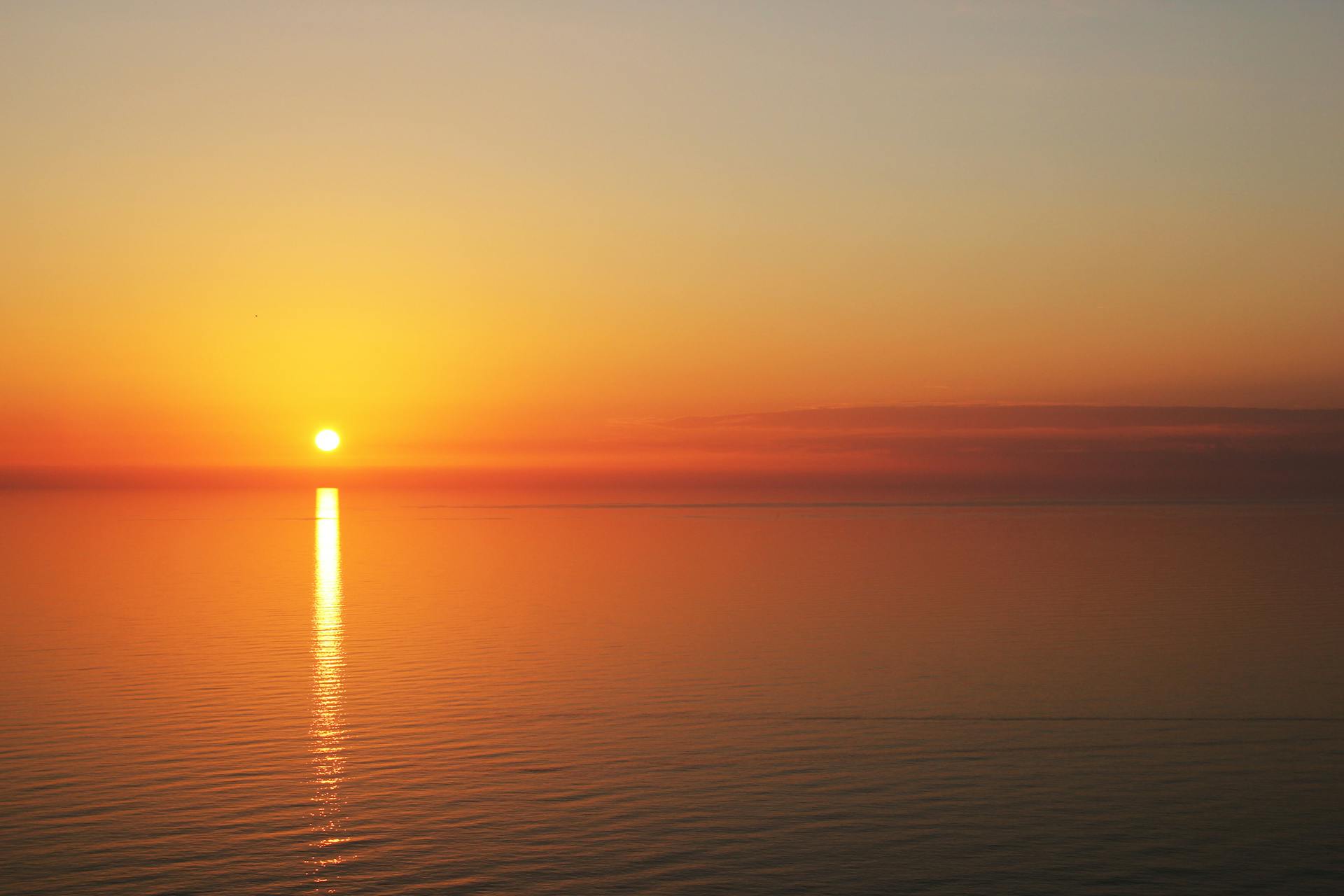 Sonnenuntergang über einem ruhigen Meer | Quelle: Pexels
