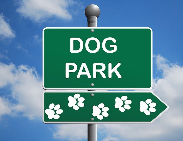 Grünes Schild mit der Aufschrift "Dog Park" | Quelle: Pixabay