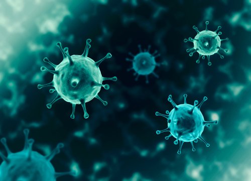 3D-Darstellung des Virus | Quelle: Shutterstock