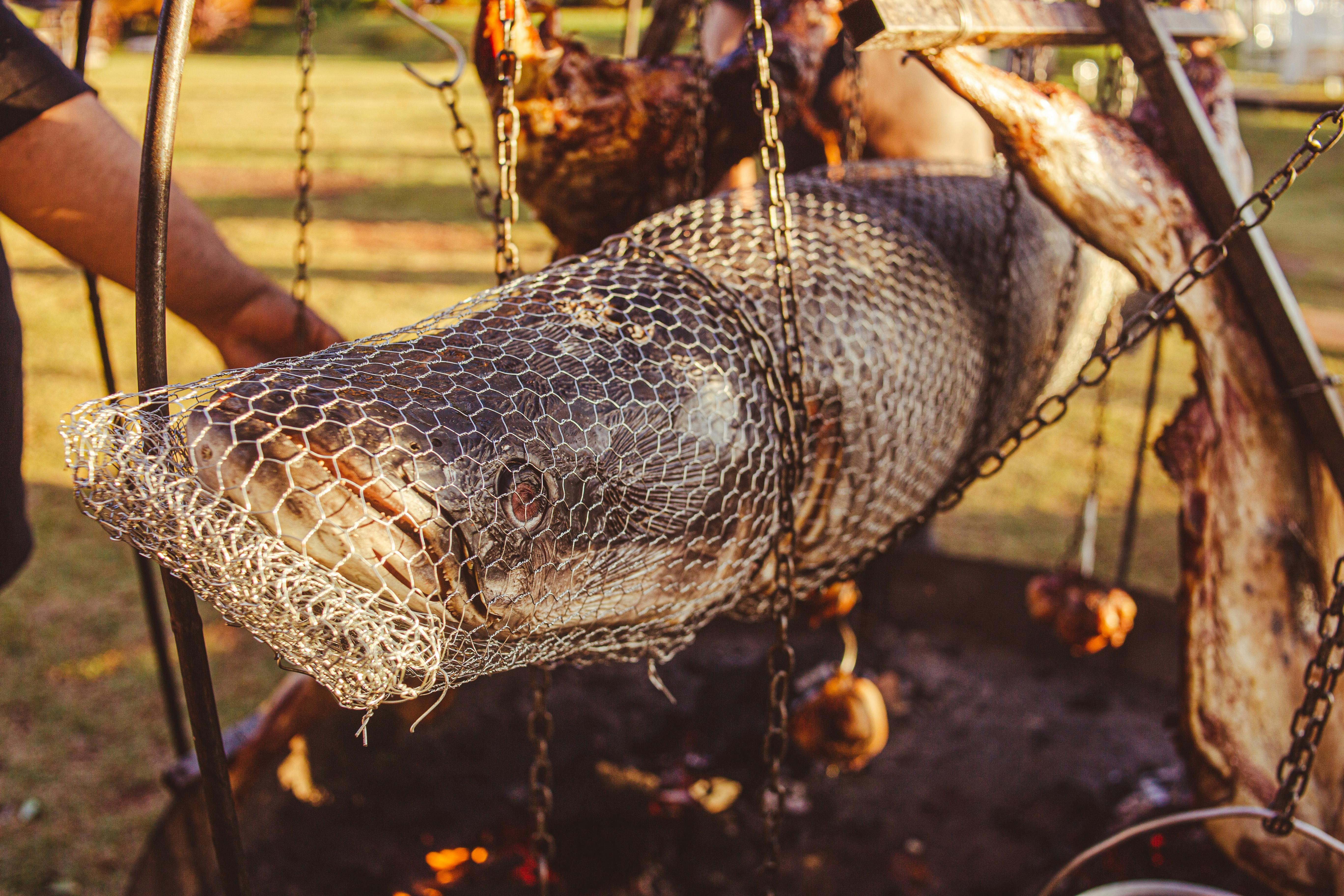 Ein großer Fisch, der mit einem Fischernetz gefangen wurde | Quelle: Pexels