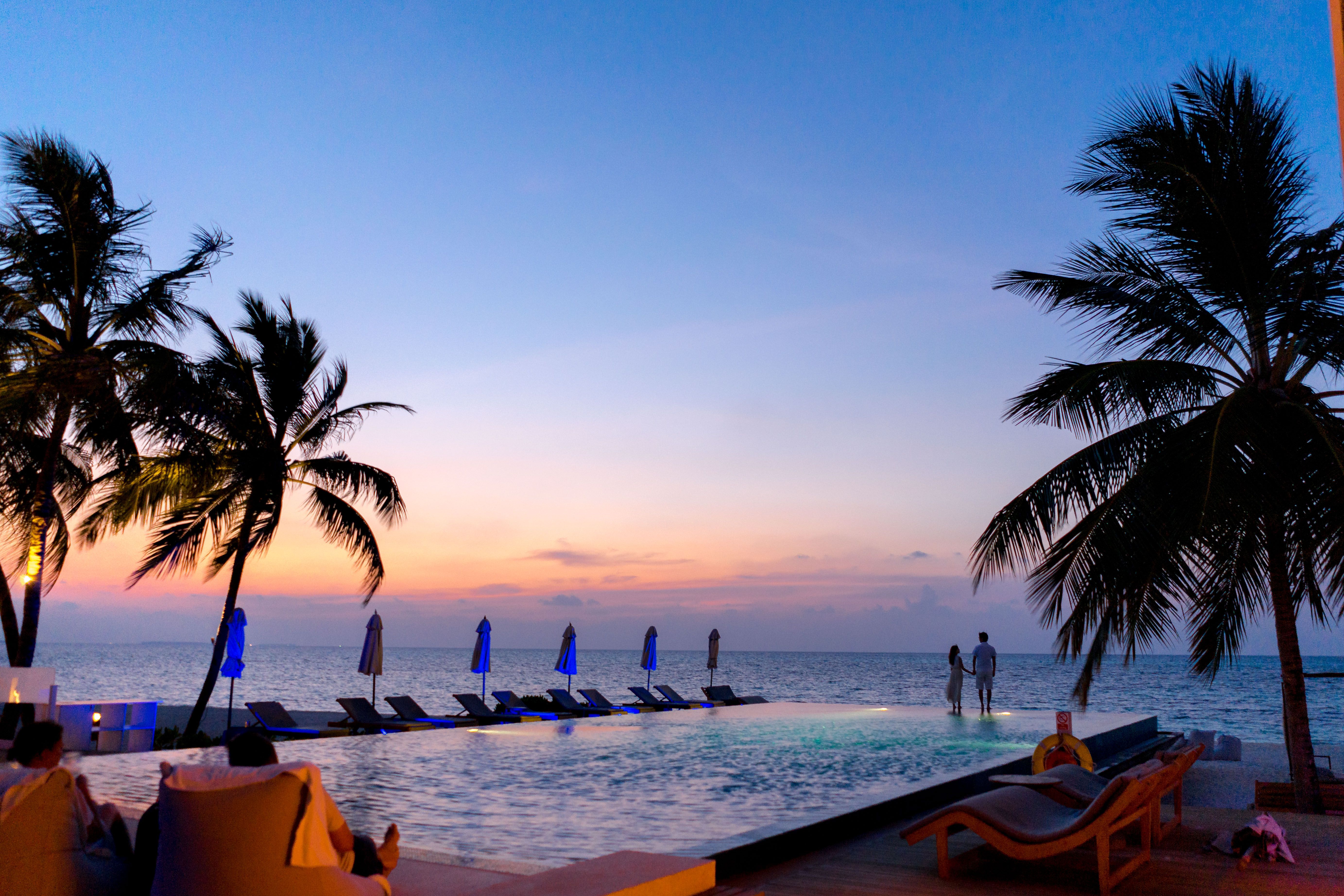 Ein Paar genießt einen malerischen Sonnenuntergang an einem Infinity-Pool, umgeben von Palmen | Quelle: Pexels
