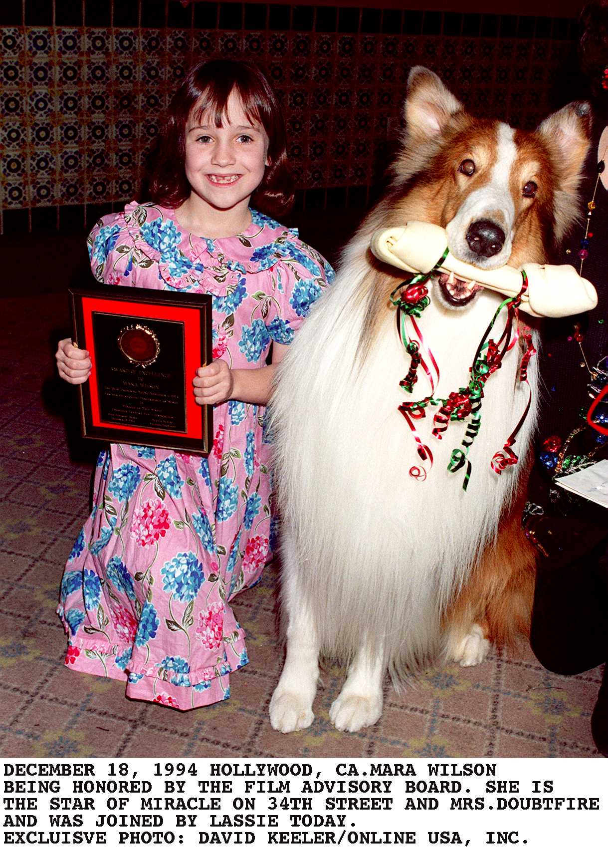 Mara Wilson und Lassie bei der Ehrung durch den Filmbeirat am 16. Dezember 1994 in Los Angeles, Kalifornien. | Quelle: Getty Images