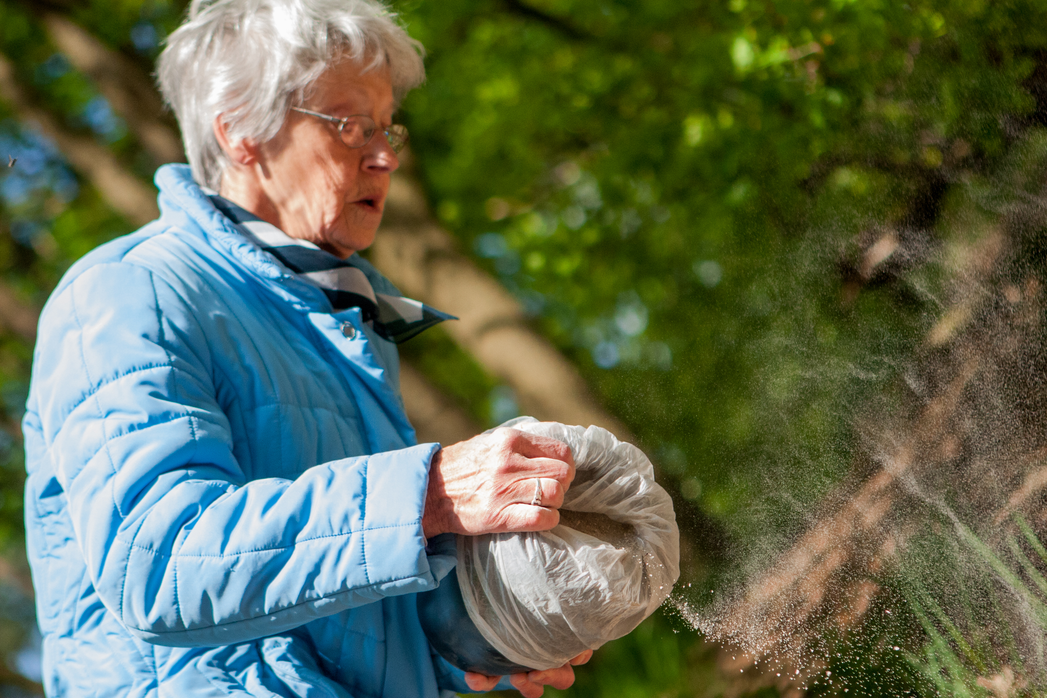 Eine ältere Dame verstreut die Asche eines geliebten Menschen in einem Wald | Quelle: Shutterstock