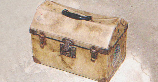 Amelie hinterließ Kathi eine alte Kiste. | Quelle: Shutterstock