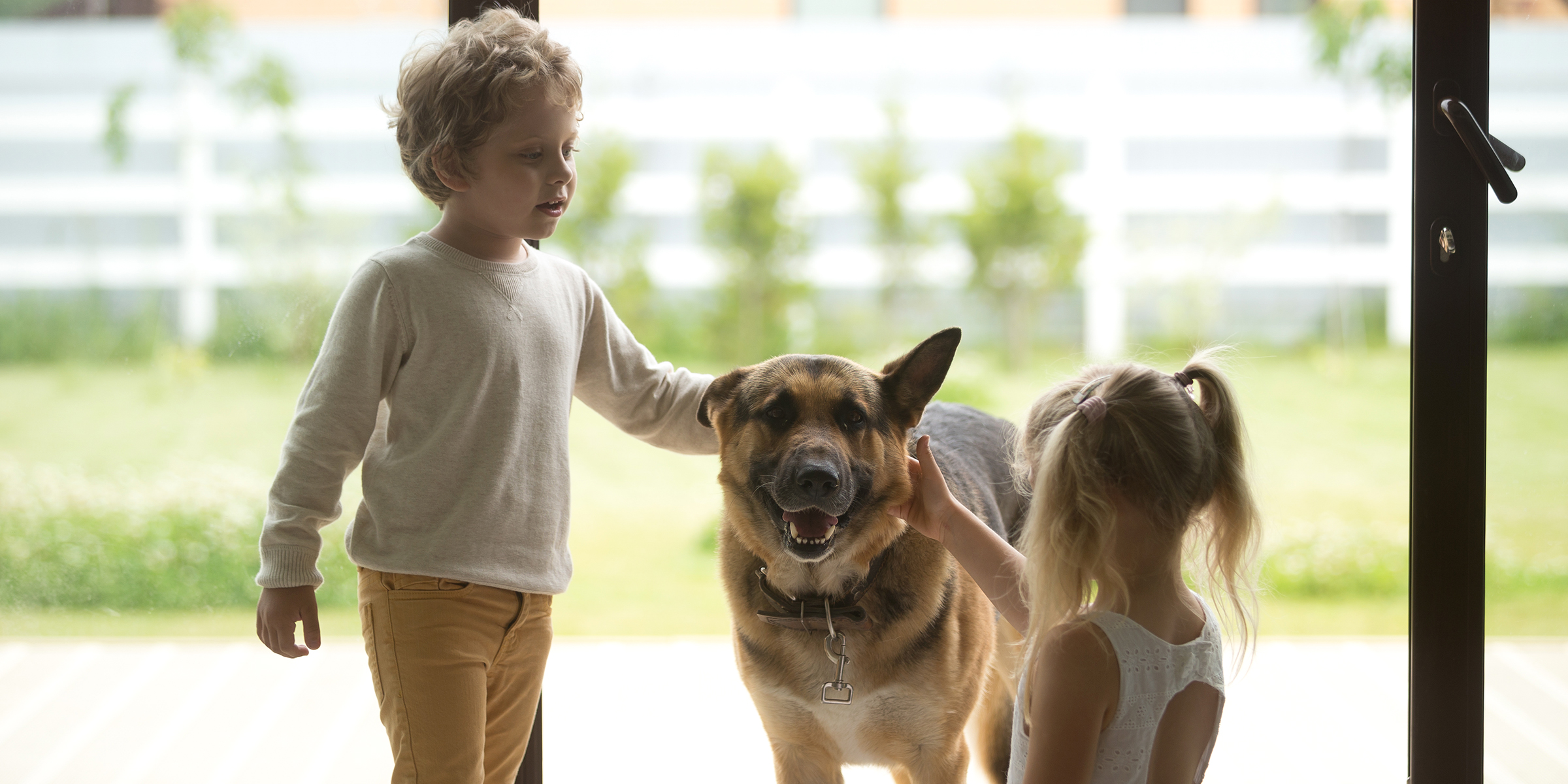 Zwei Kinder streicheln ihren geliebten Deutschen Schäferhund vor einer sonnigen Glastür | Quelle: Shutterstock