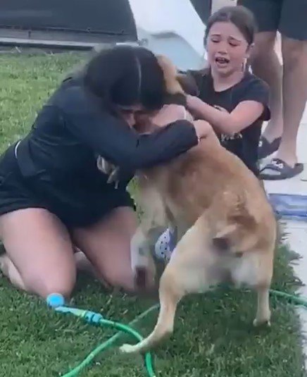 Ein Mädchen und ihre Schwester waren zu Tränen gerührt, als sie ihren Hund wieder trafen, nachdem er zwei Monate lang verschwunden war. I Quelle: https://www.instagram.com/loshermanospaticorti