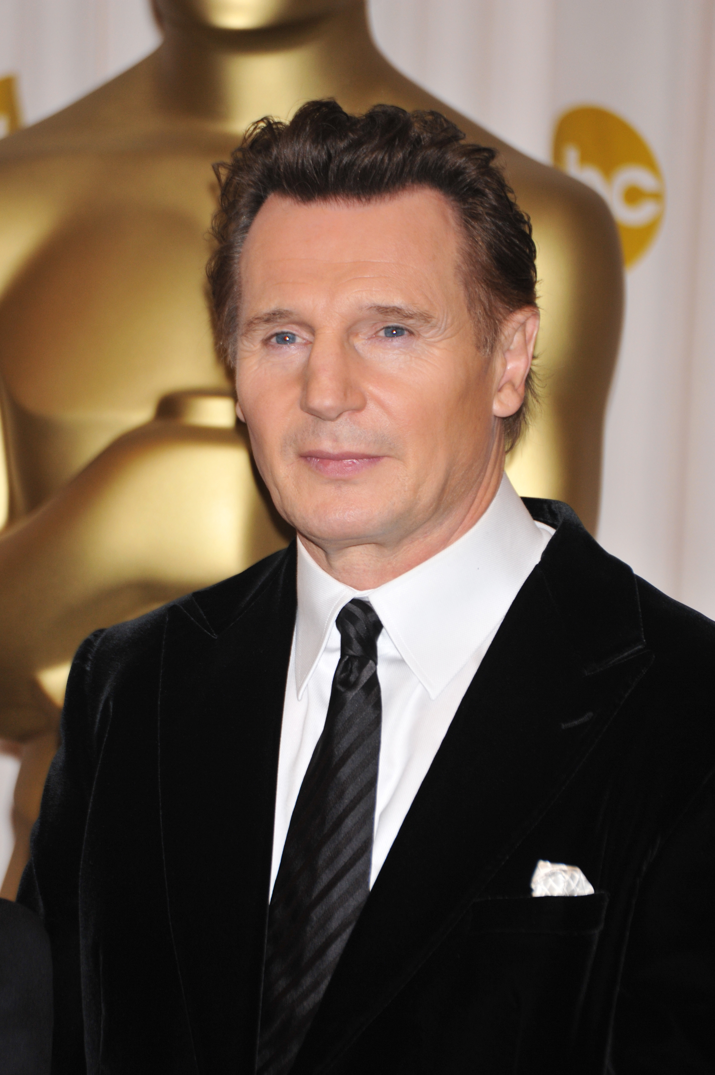Liam Neeson bei den 81. jährlichen Academy Awards am 22. Februar 2009 in Hollywood, Kalifornien. | Quelle: Getty Images