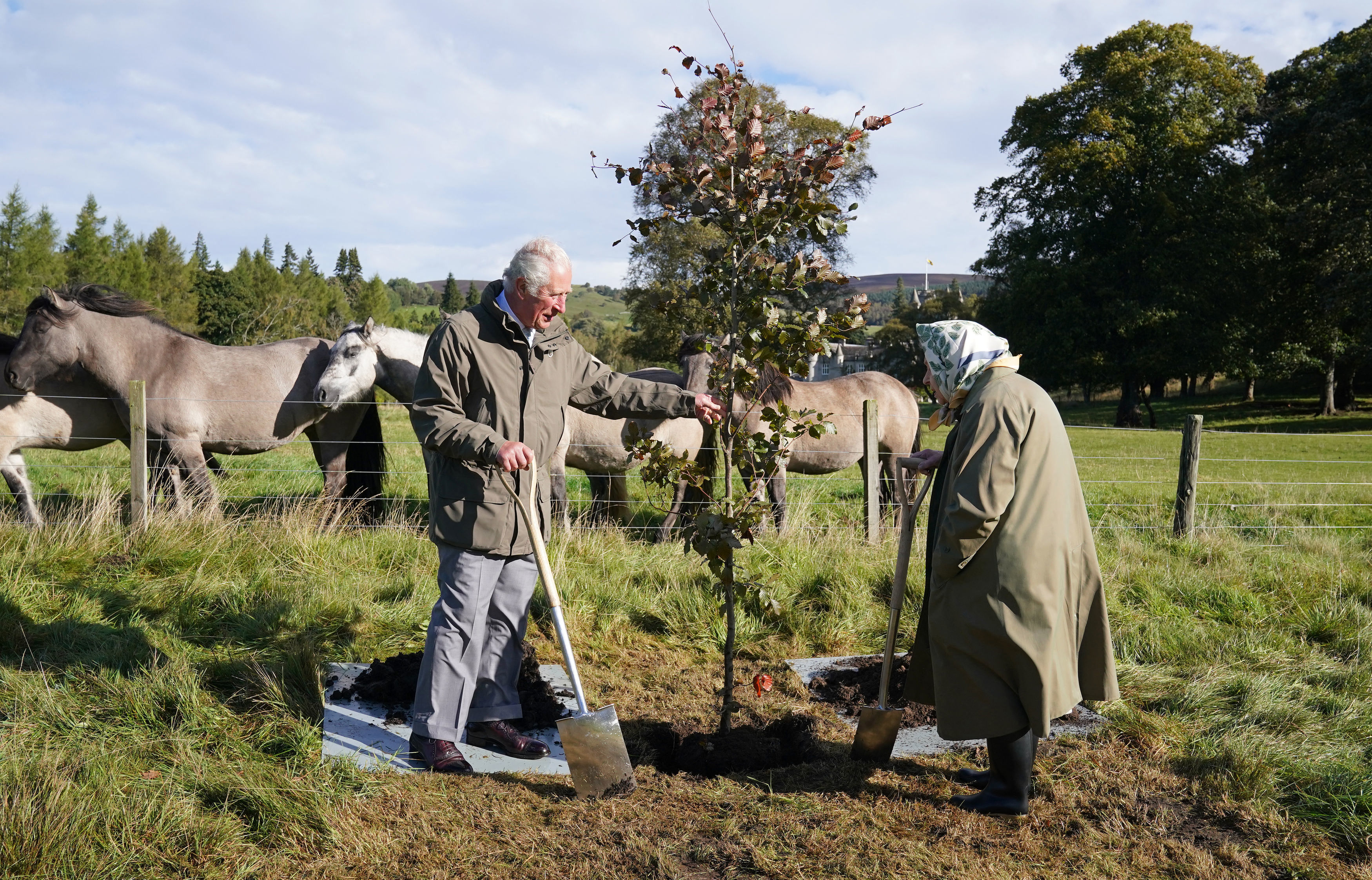 Königin Elizabeth II. und der damalige Prinz Charles pflanzen am 1. Oktober 2021 im Balmoral Cricket Pavilion, Balmoral Estate in Schottland, einen Baum, um den Beginn der offiziellen Pflanzsaison für das "Queen's Green Canopy" zu feiern. | Quelle: Getty Images